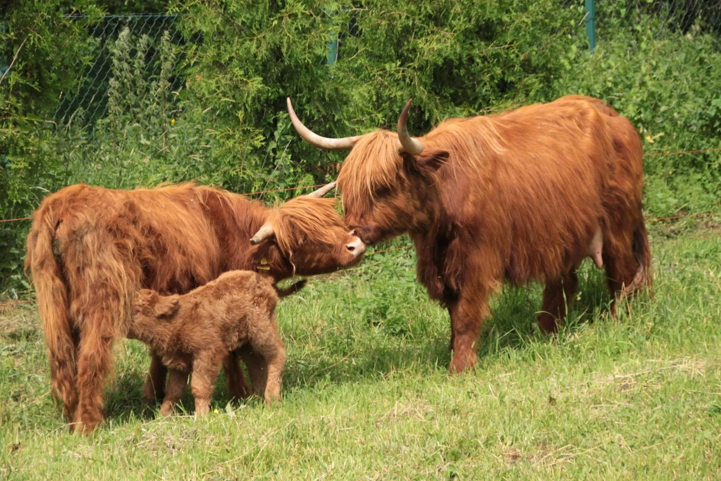 Other in Hotel Osada Karbówko Wellness & SPA