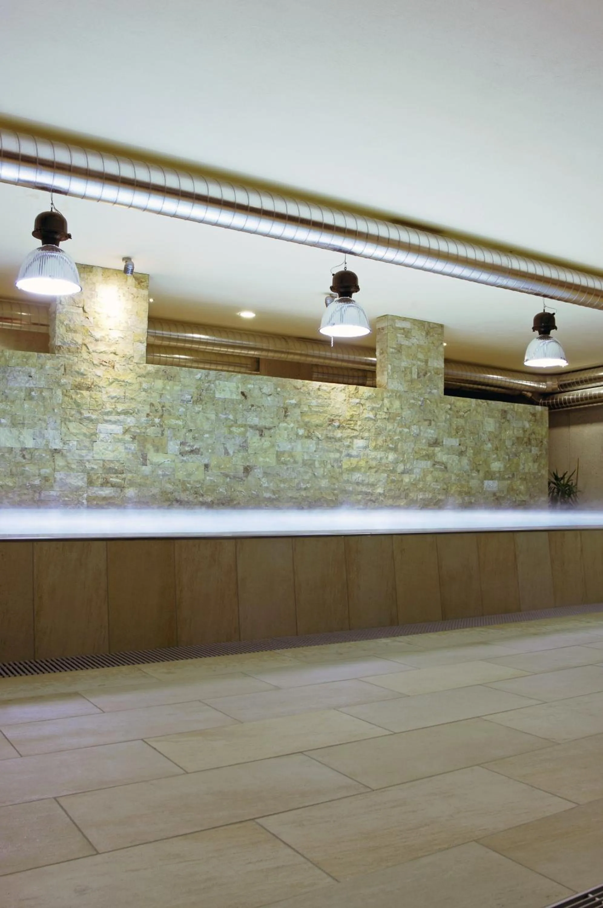 Spa and wellness centre/facilities in Hotel Edelweiss