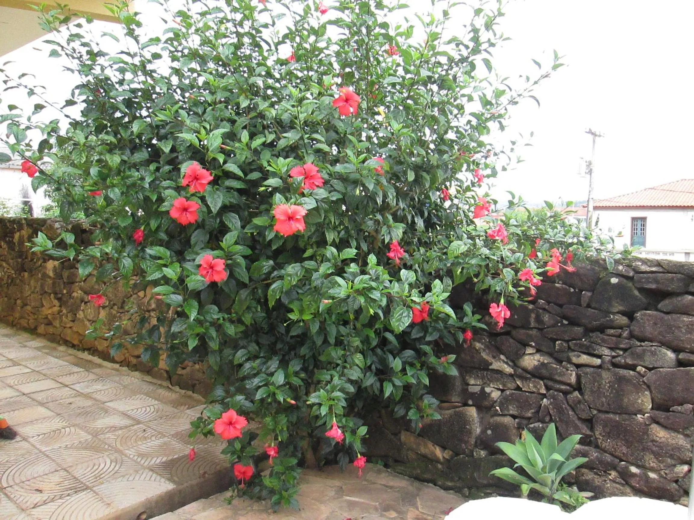 Other in Pousada As Relíquias de Minas