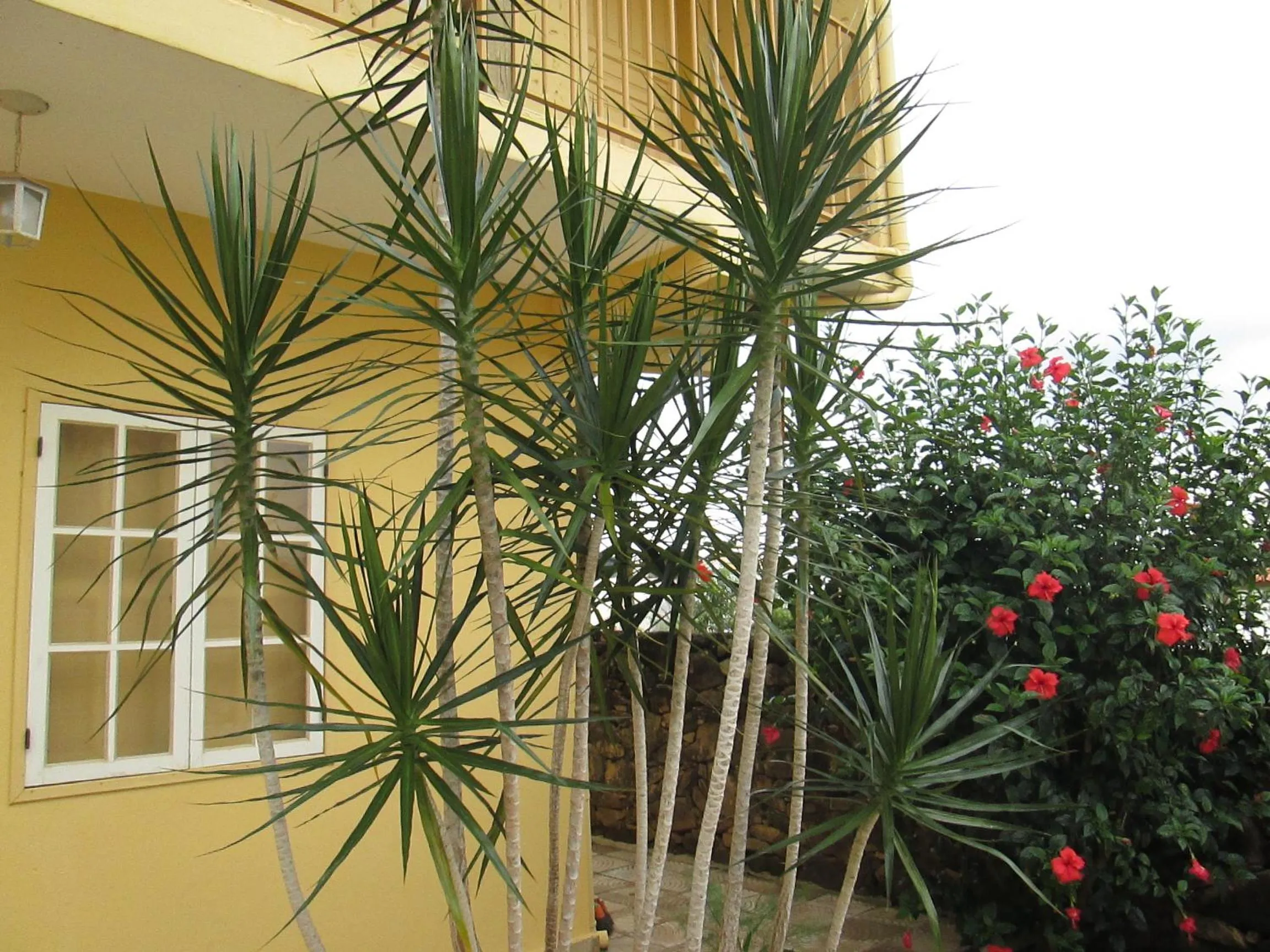 Property building in Pousada As Relíquias de Minas