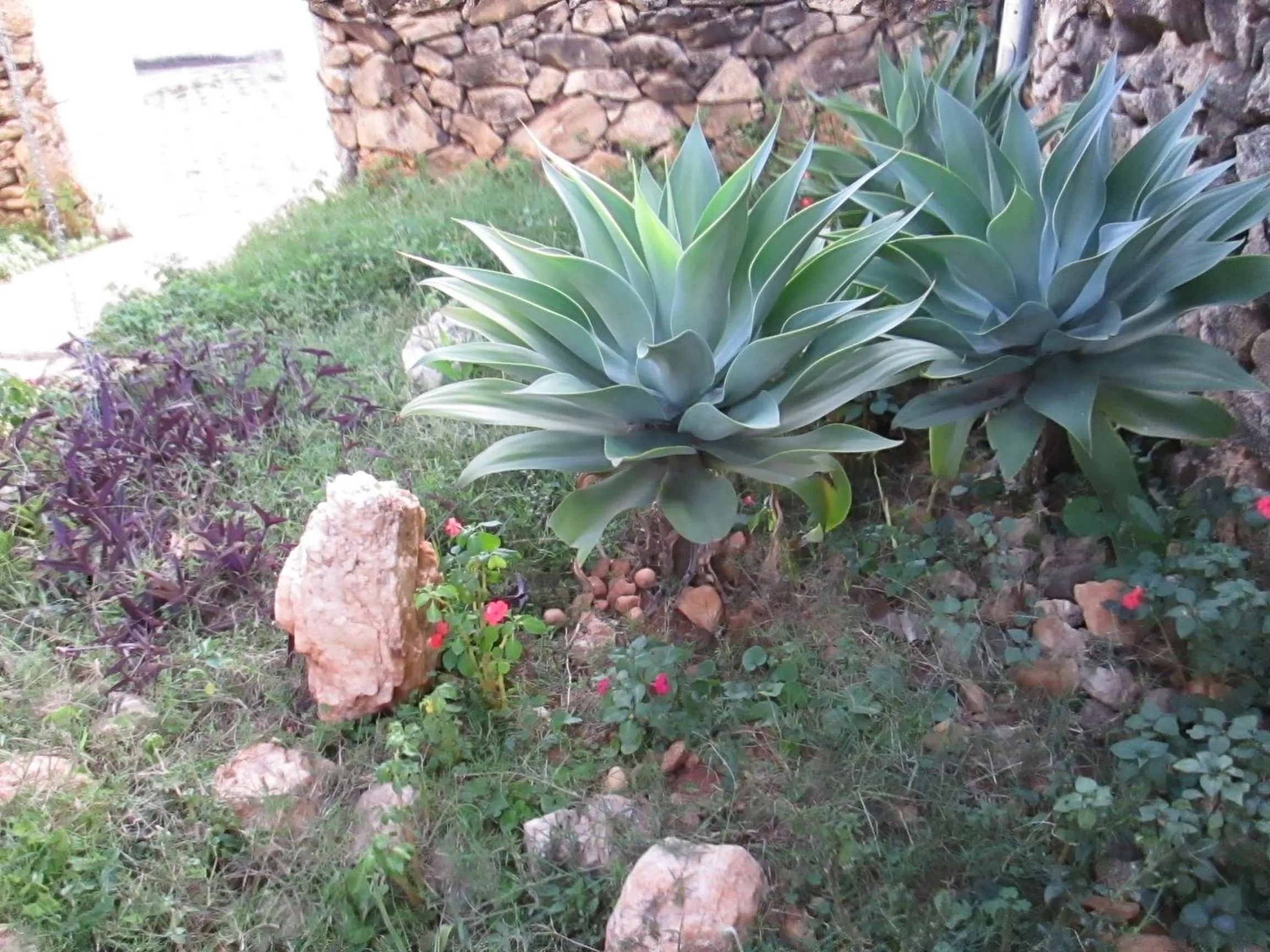 Garden in Pousada As Relíquias de Minas