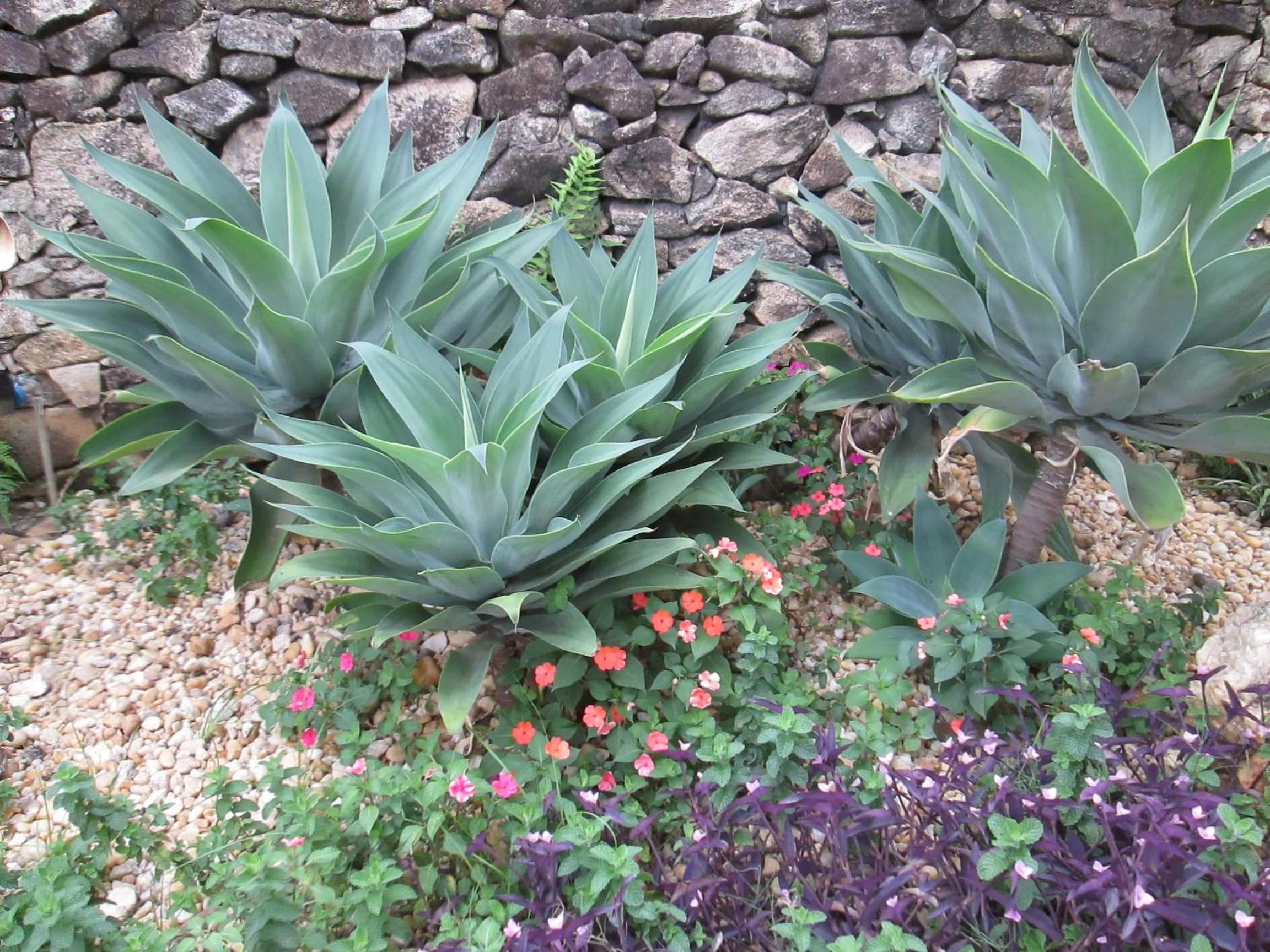 Garden view in Pousada As Relíquias de Minas