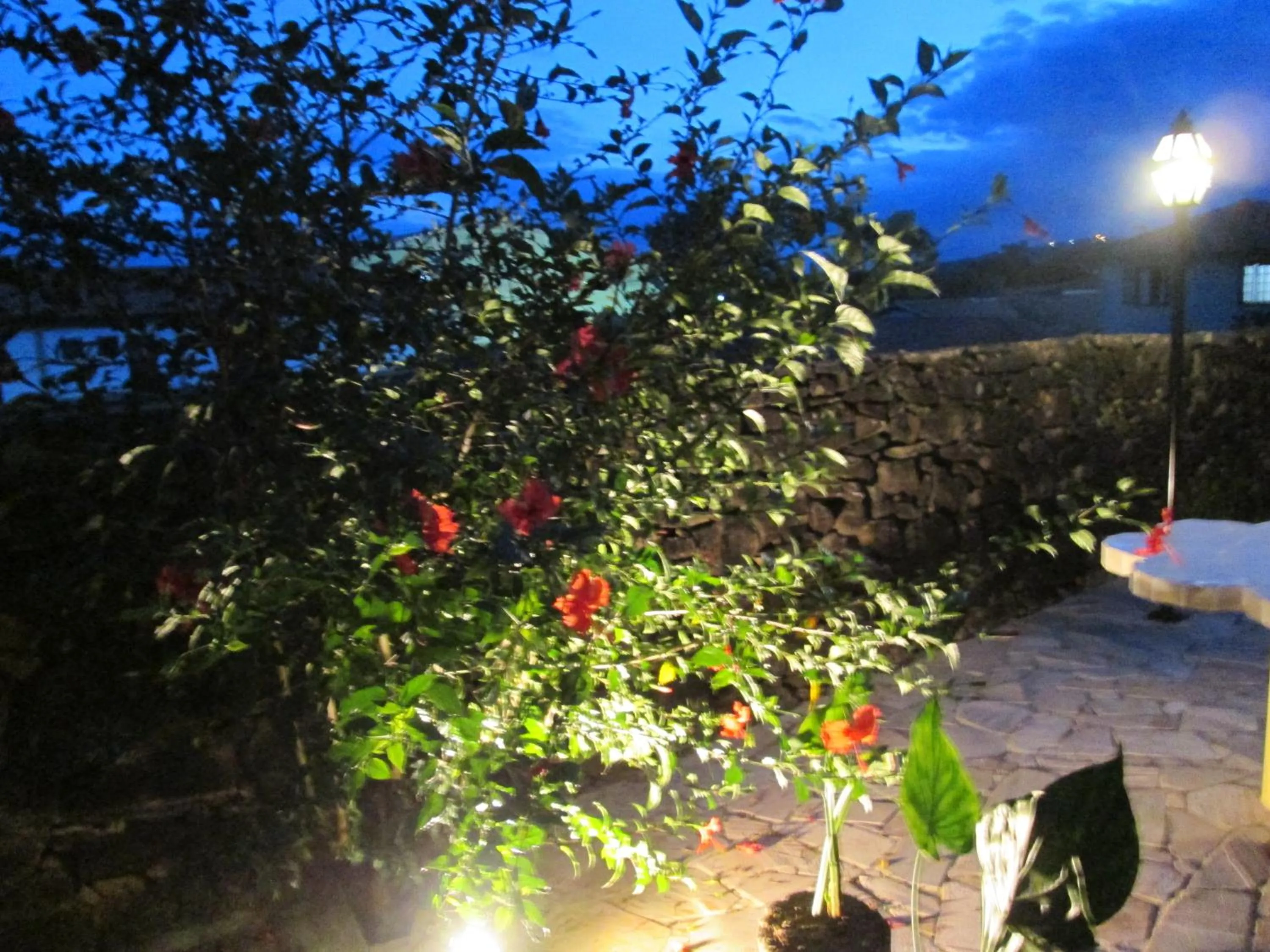 Garden in Pousada As Relíquias de Minas
