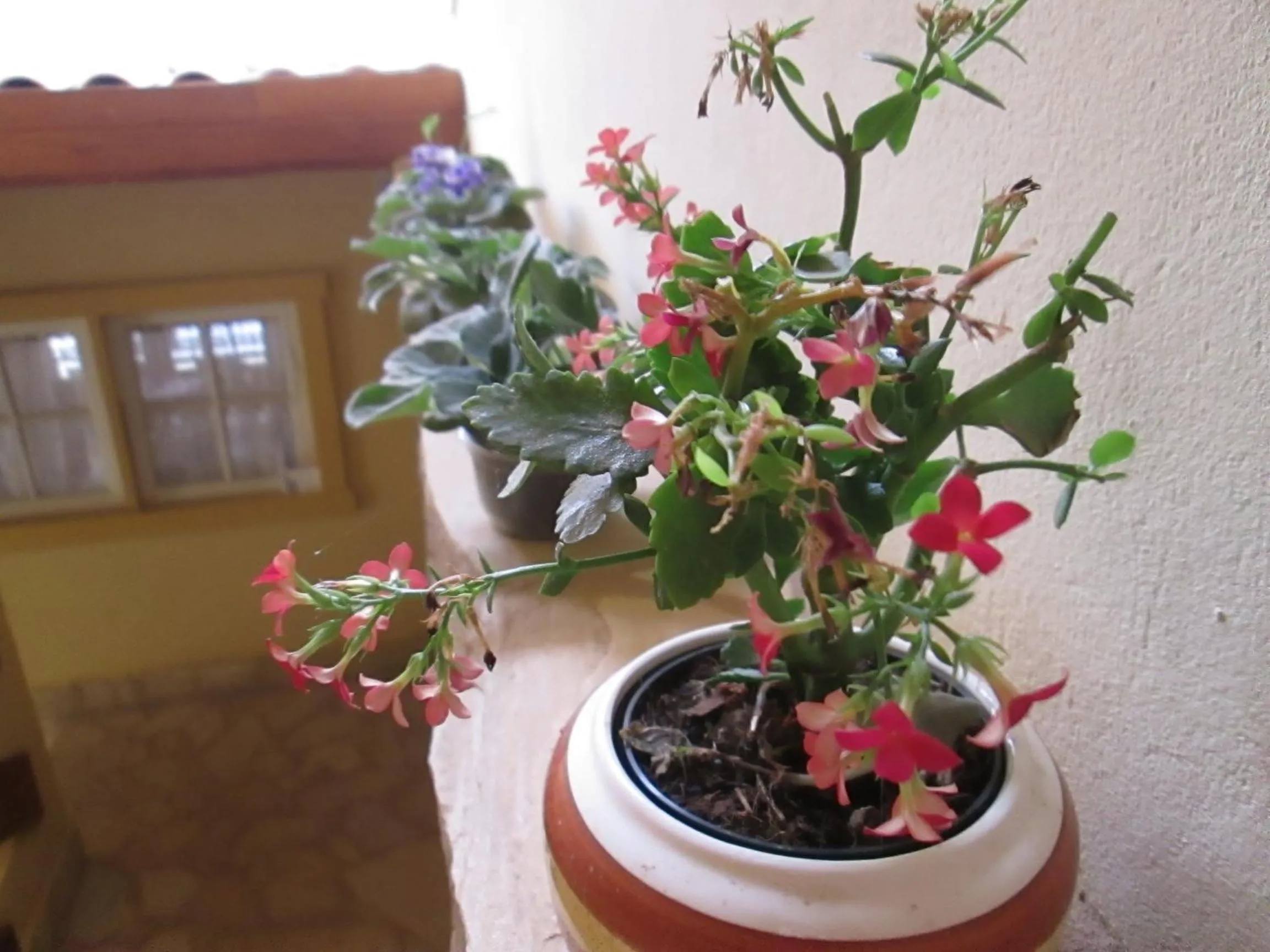 Decorative detail in Pousada As Relíquias de Minas