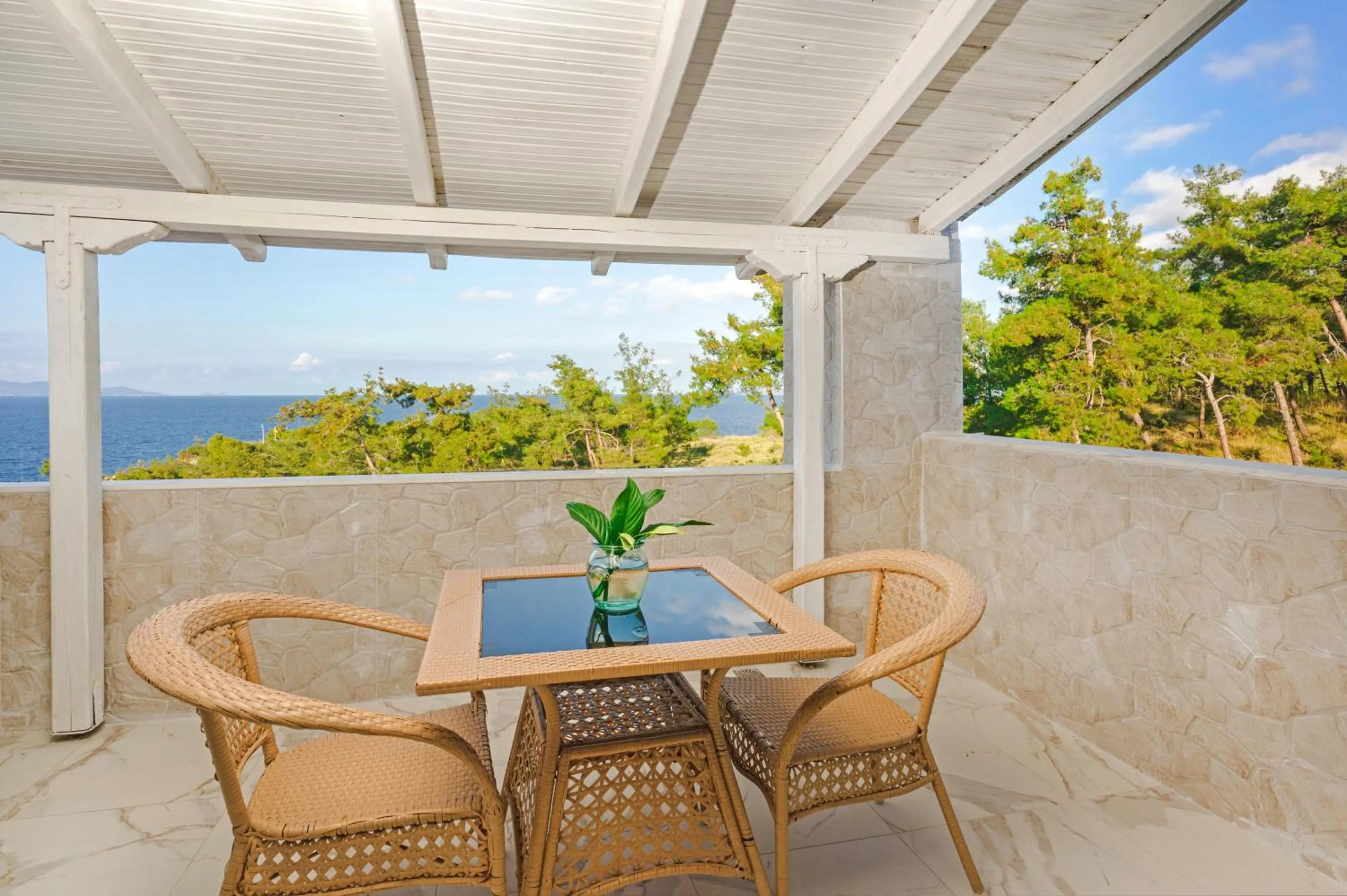 Balcony/Terrace in Leandros Hotel