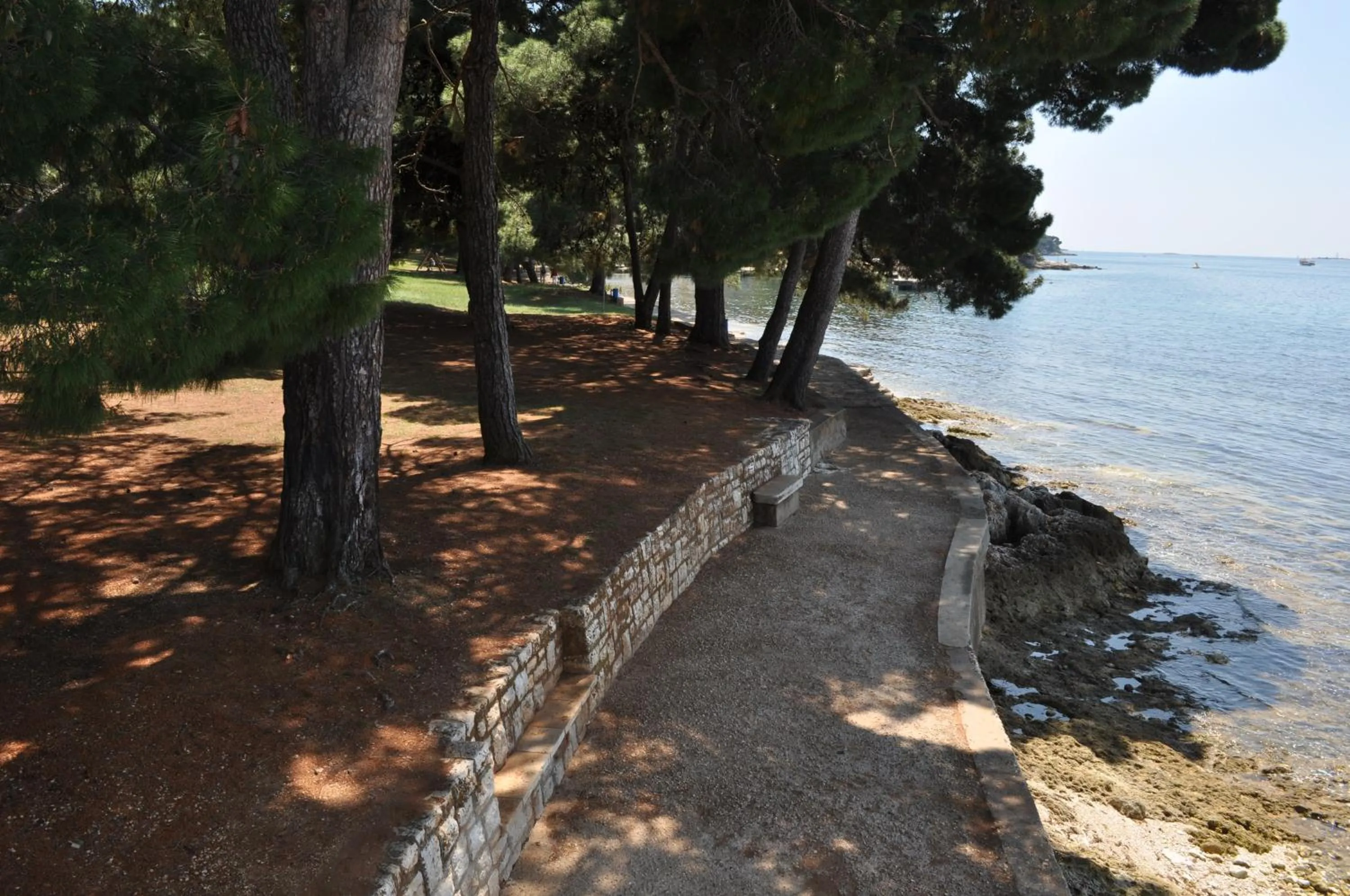 Area and facilities in Hotel Flores