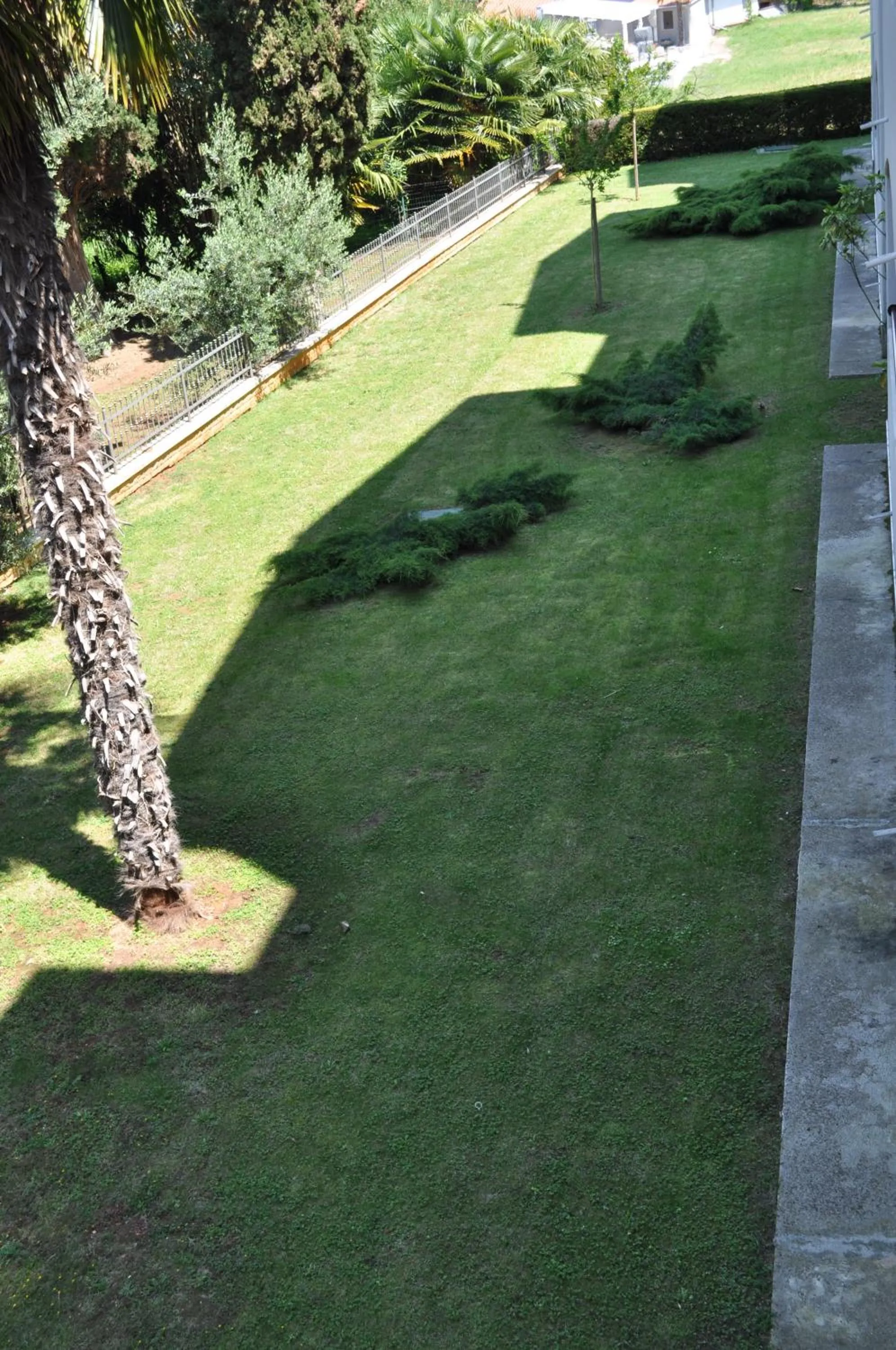Garden in Hotel Flores