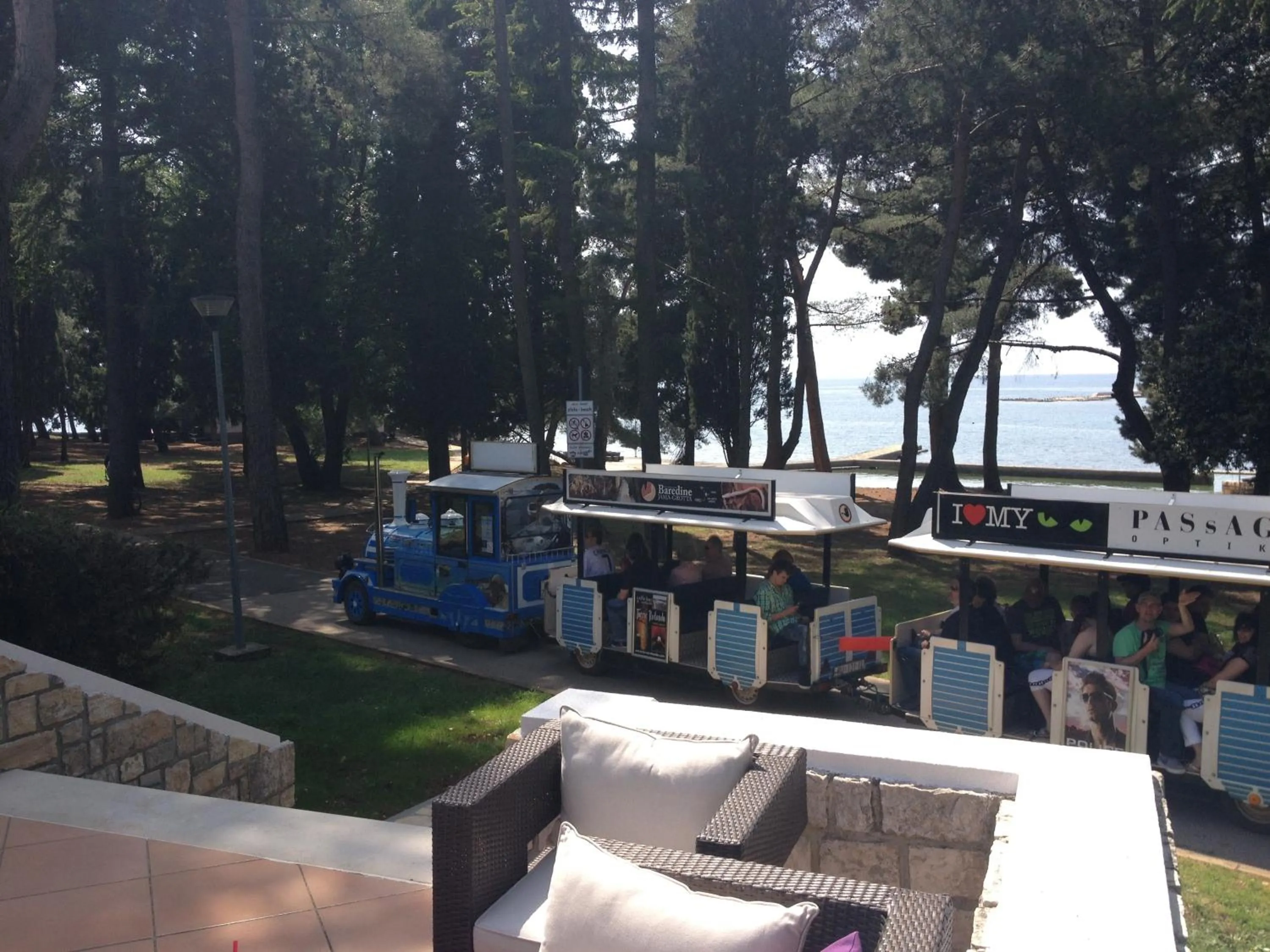 Garden in Hotel Flores