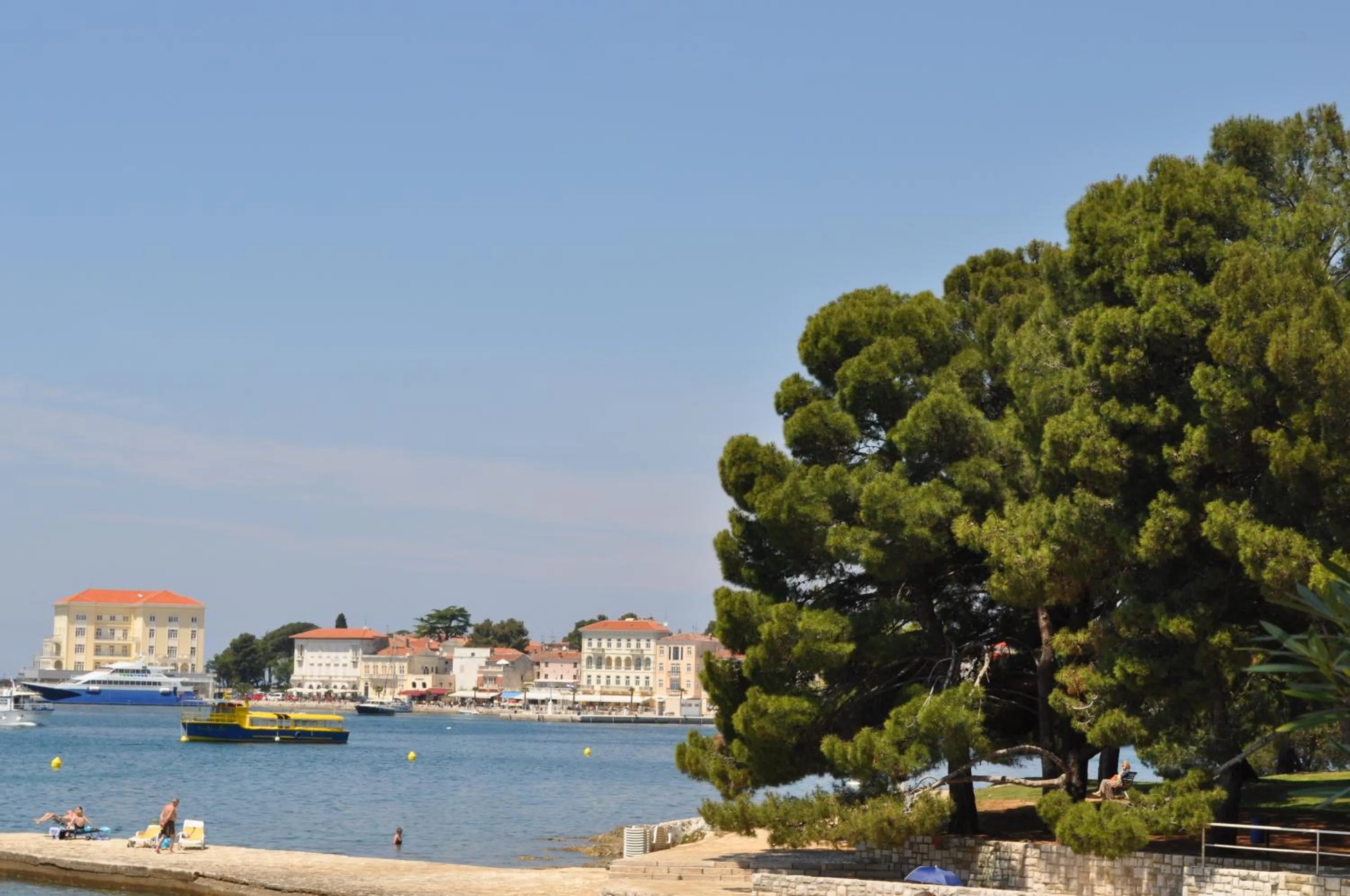 Area and facilities in Hotel Flores