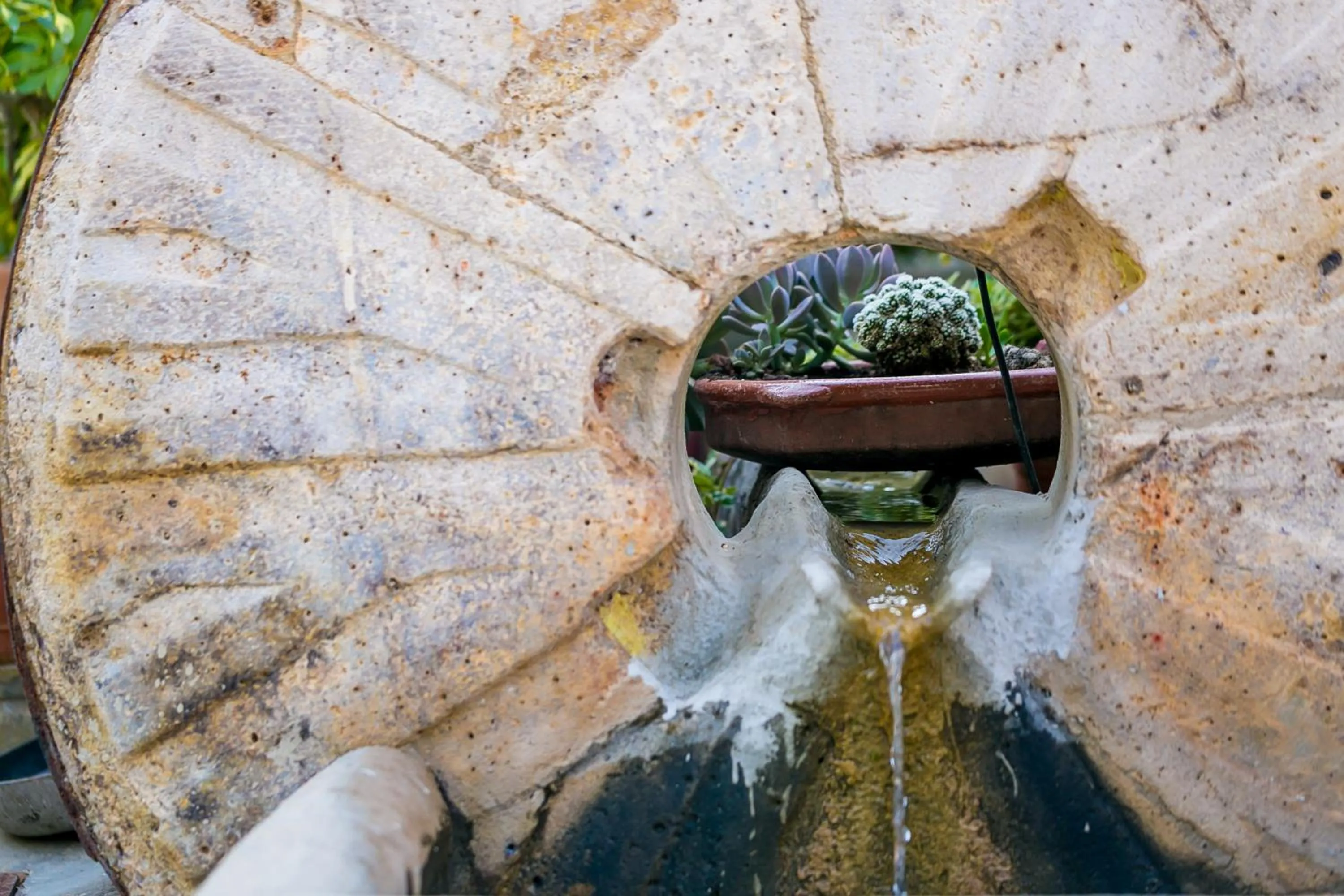 Garden in Hotel Rural El Molino de Felipe