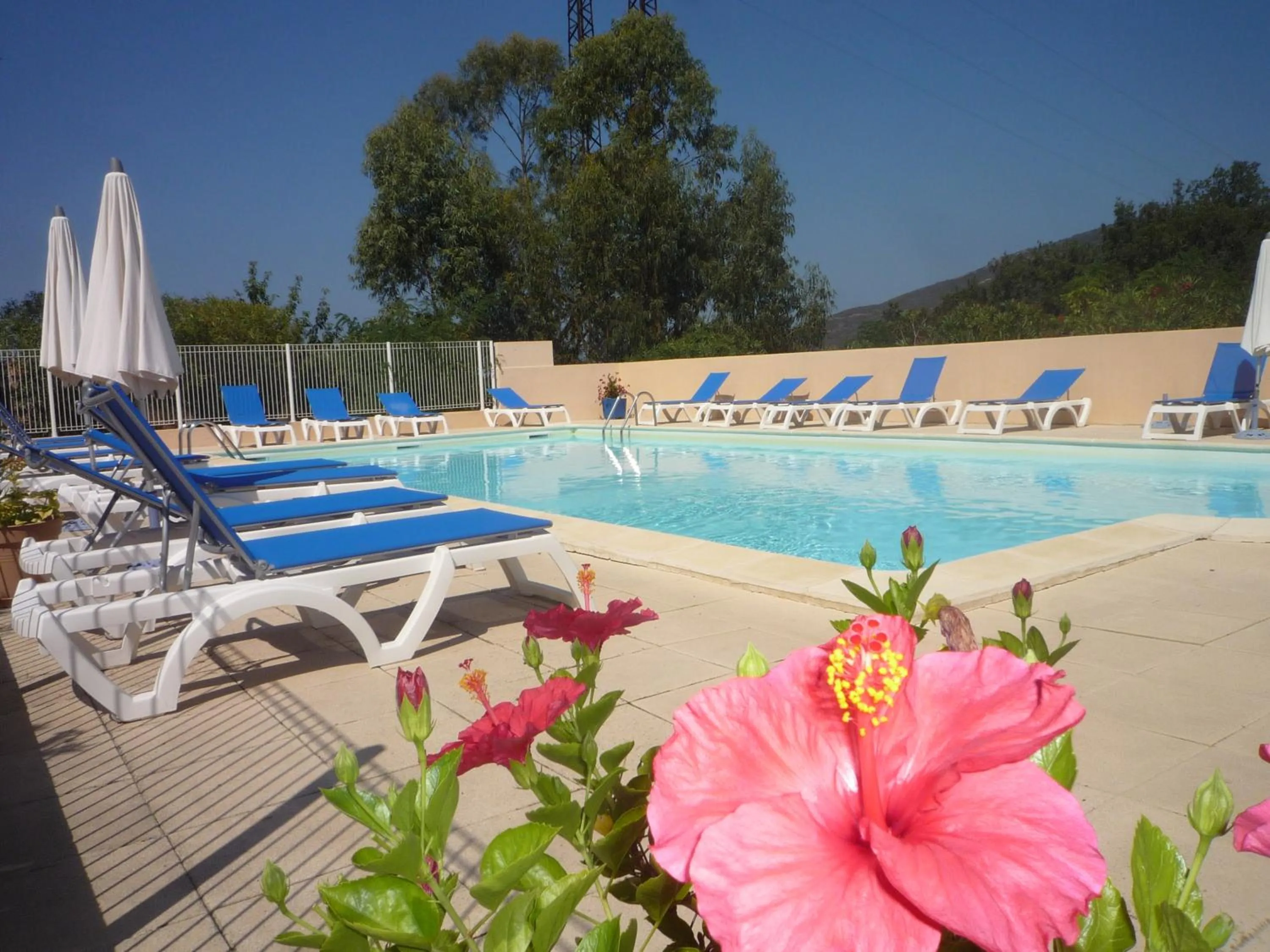 Swimming pool in Hotel Cinque Arcate