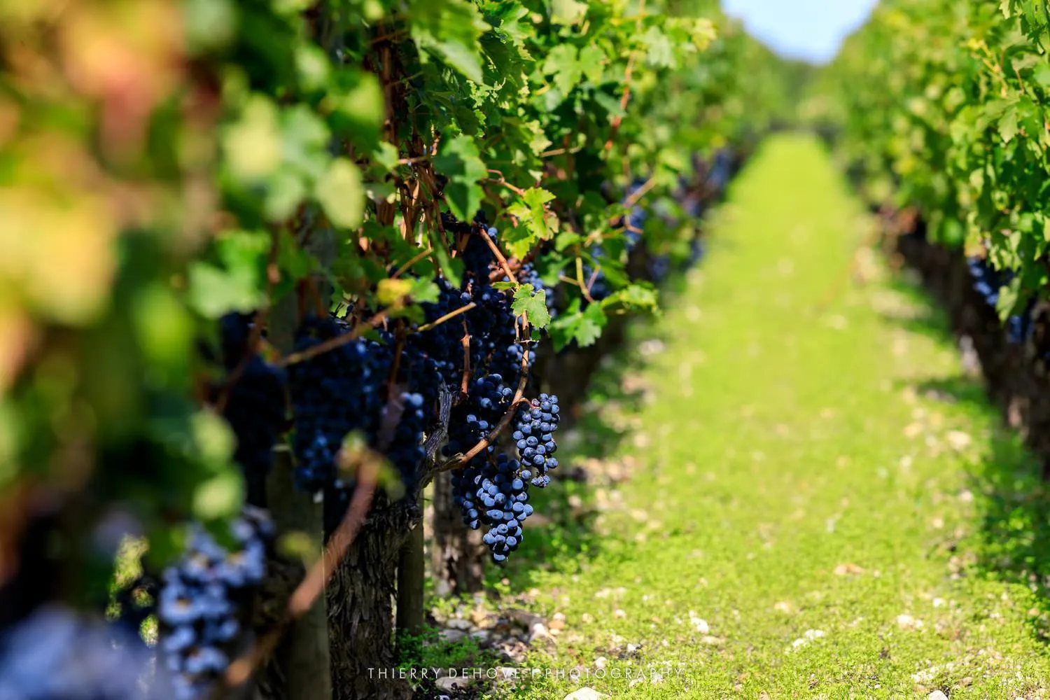Nearby landmark in Chambres Élégance - Parc Bordelais