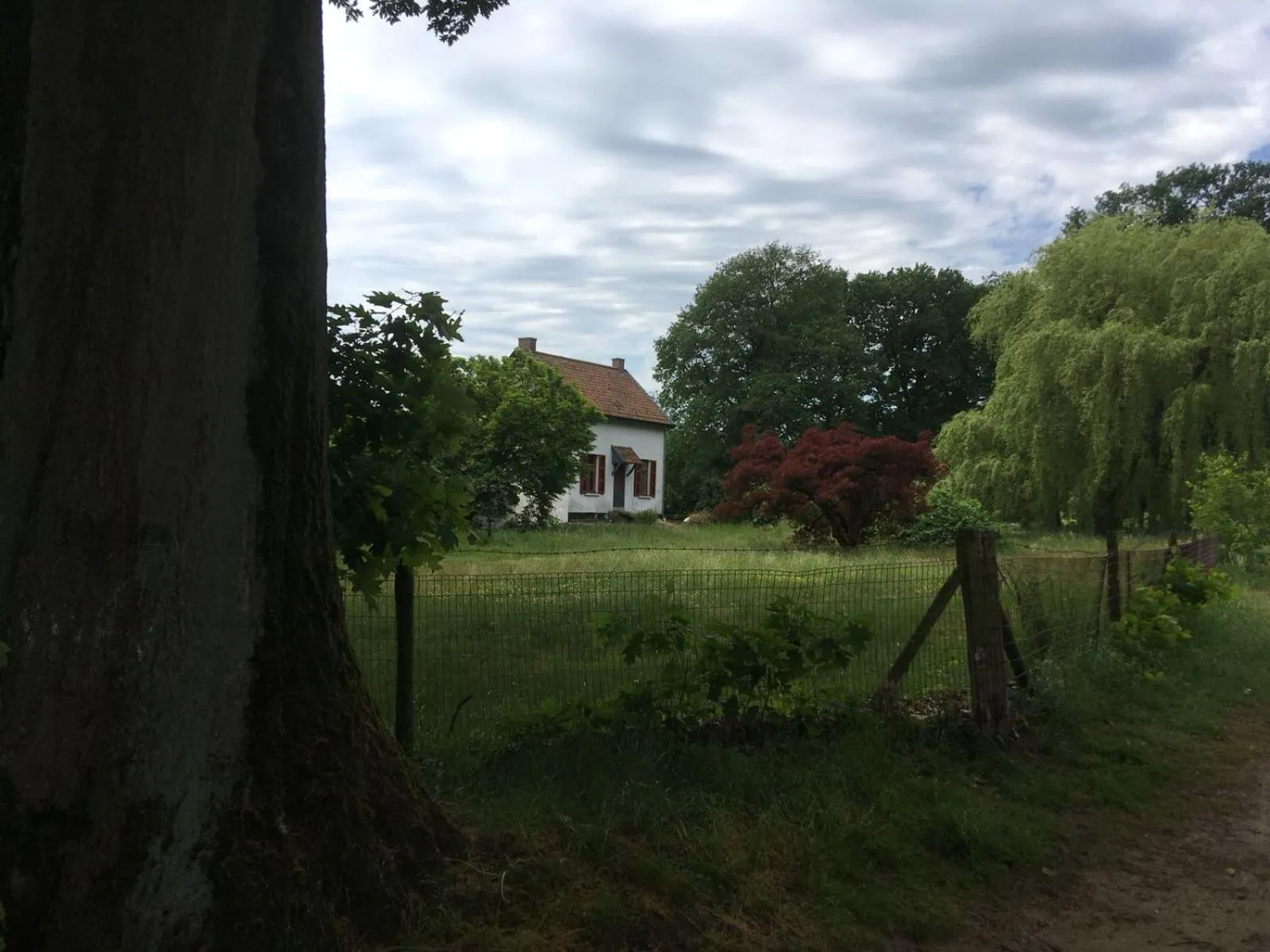 Nearby landmark in AuxiliumWellness Get Back to Serenity