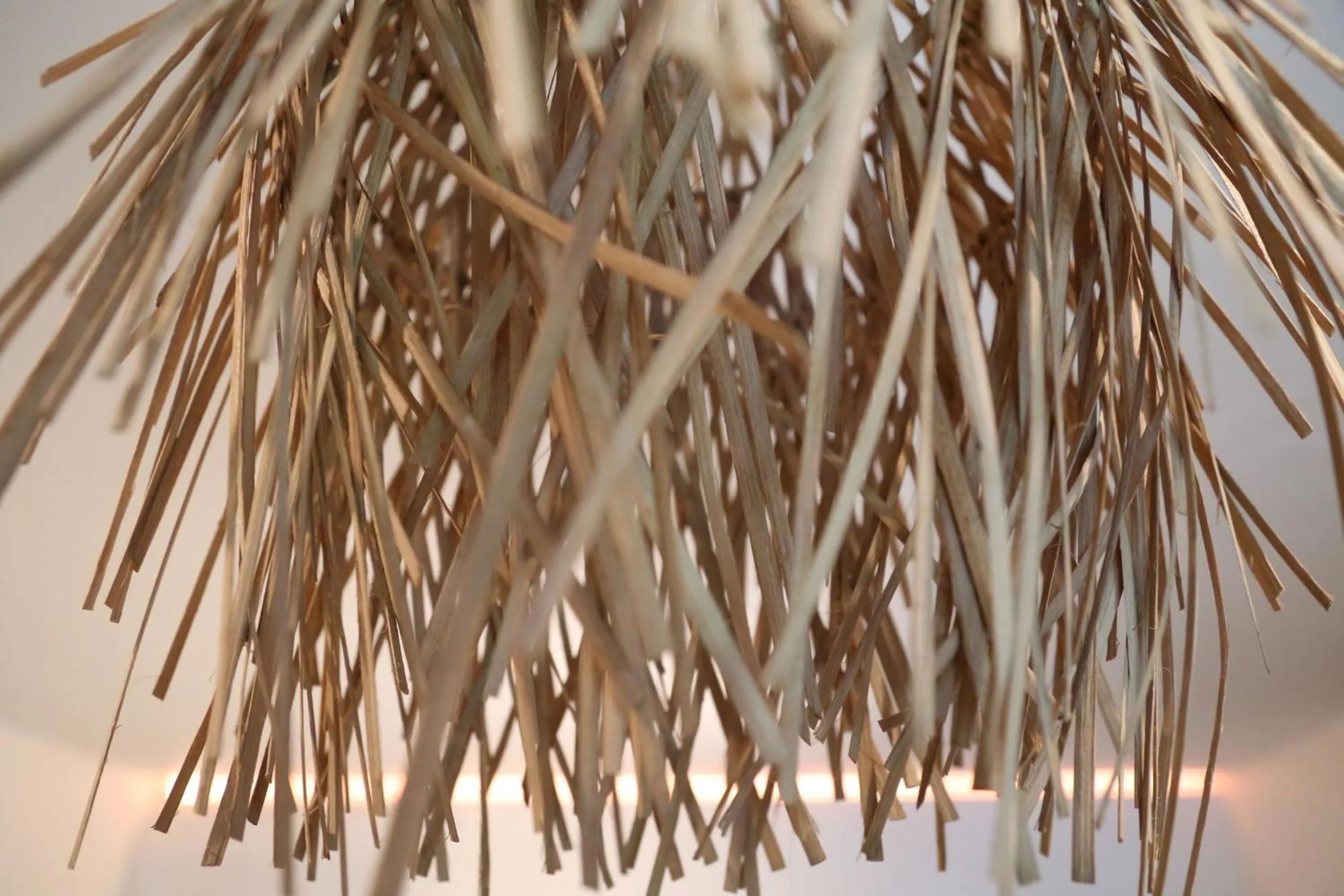 Decorative detail in AuxiliumWellness Get Back to Serenity