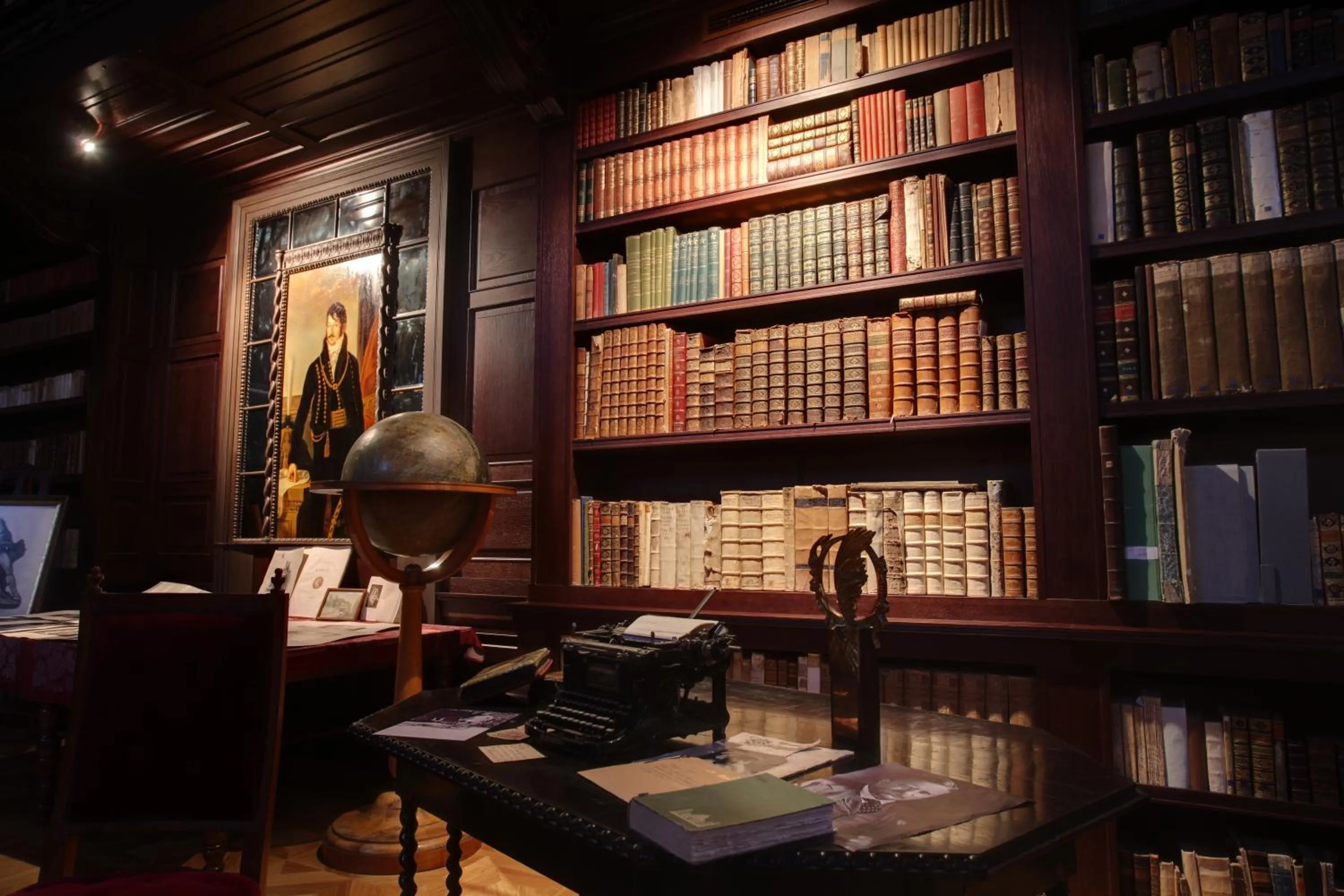 Library in Chateau Appony