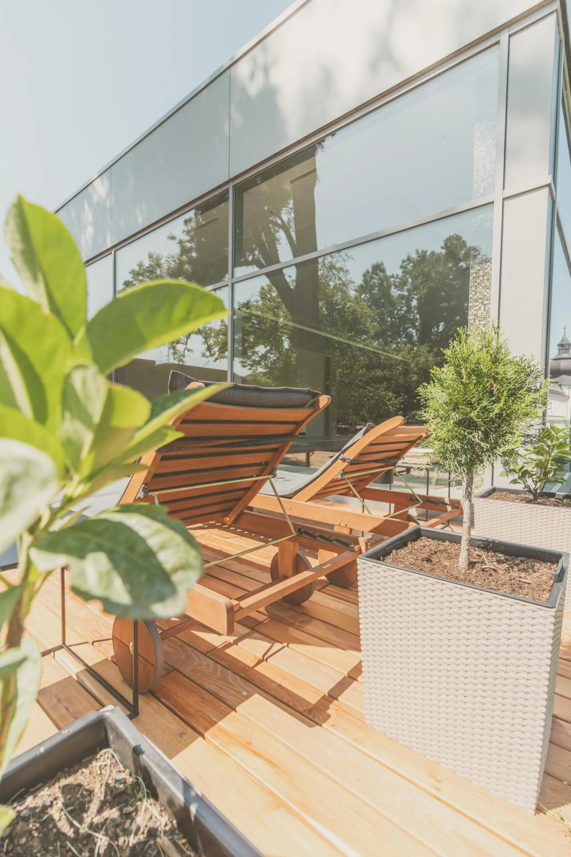 Balcony/Terrace in Chateau Appony