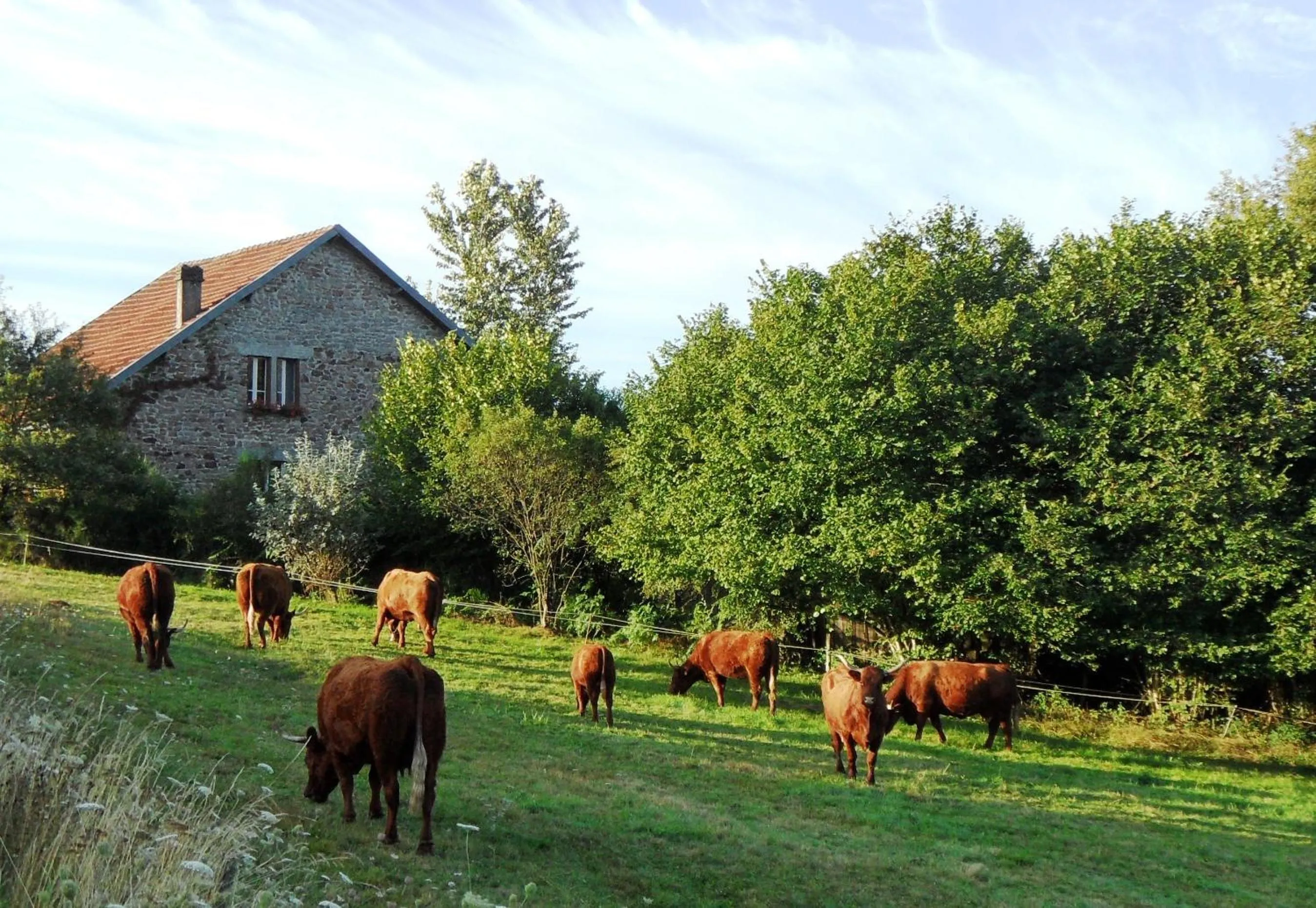 Area and facilities in Domaine du Sable