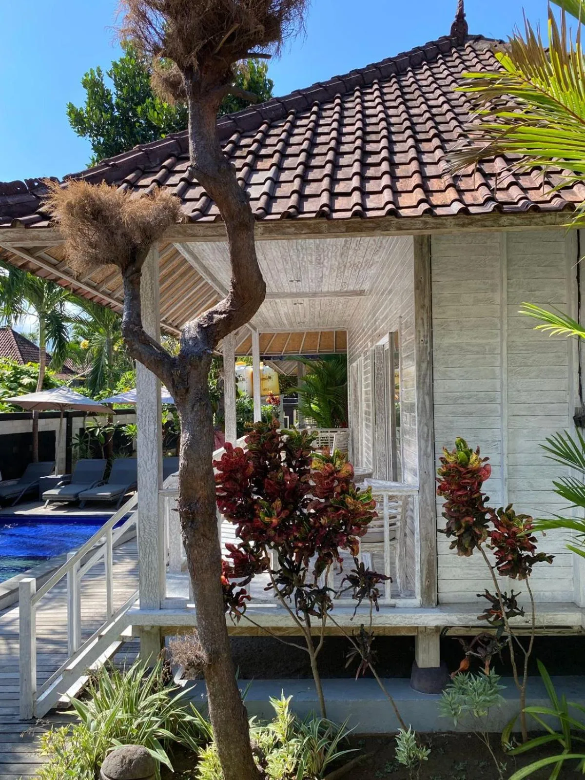 Property building in The Nichos Bungalows And Villas