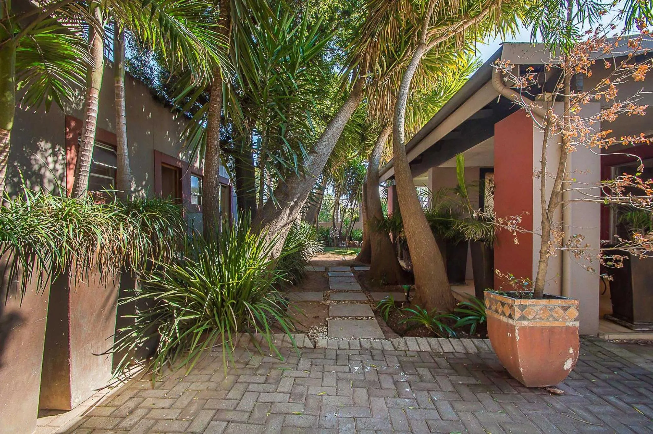 Garden in Saffron Guest House