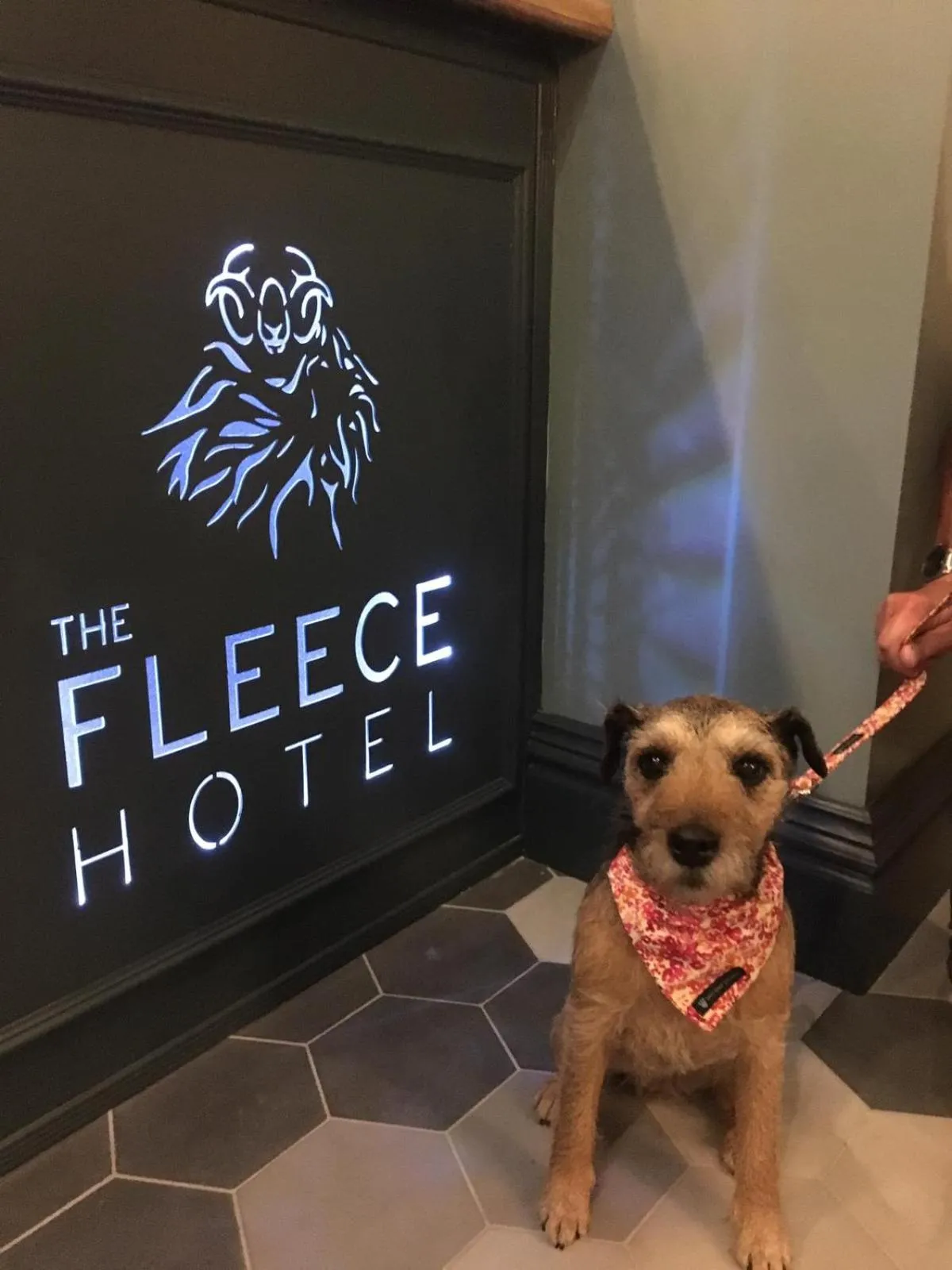 Lounge or bar in The Fleece Hotel Richmond