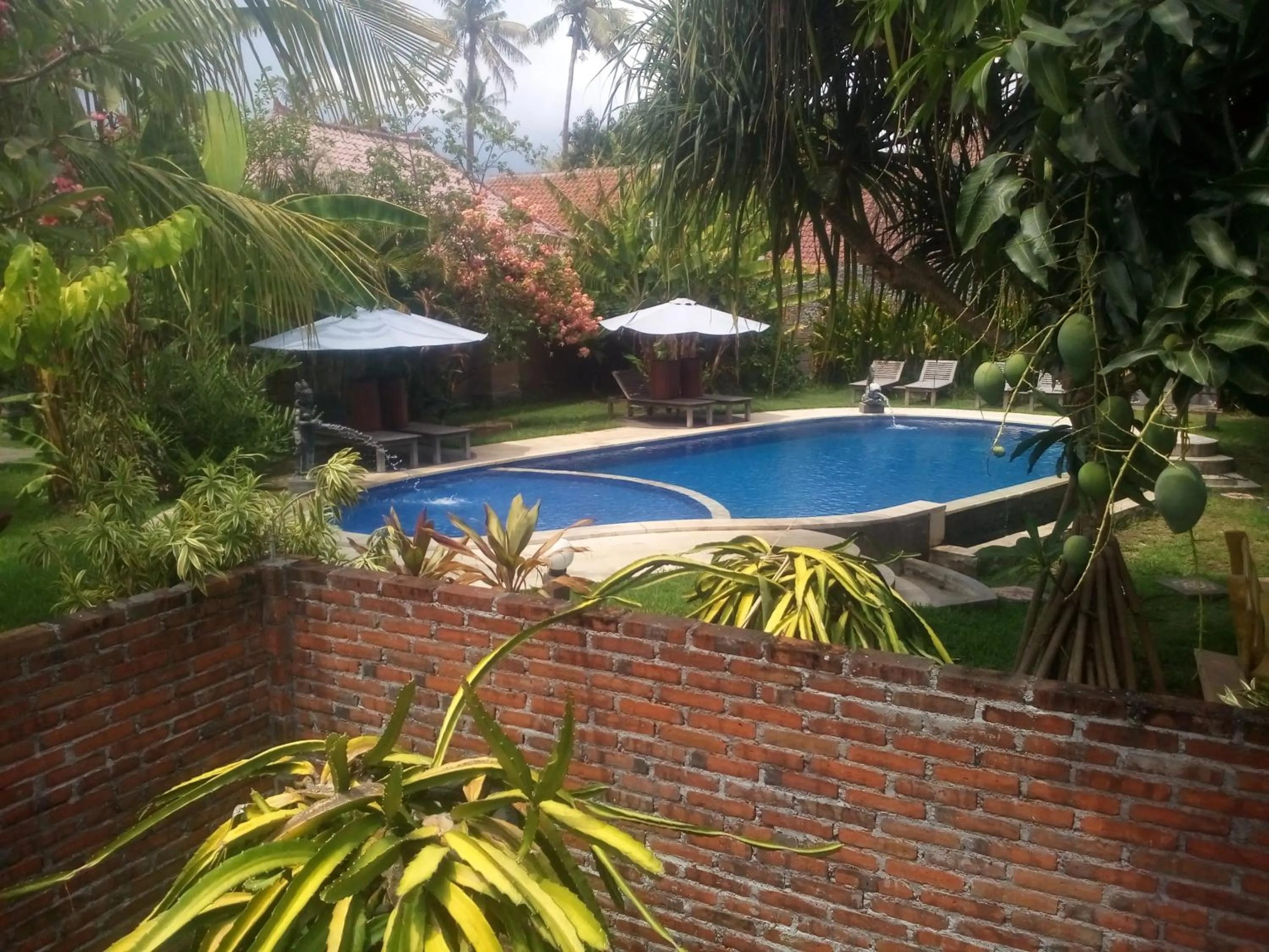 Swimming pool in Suka Sari Cottages