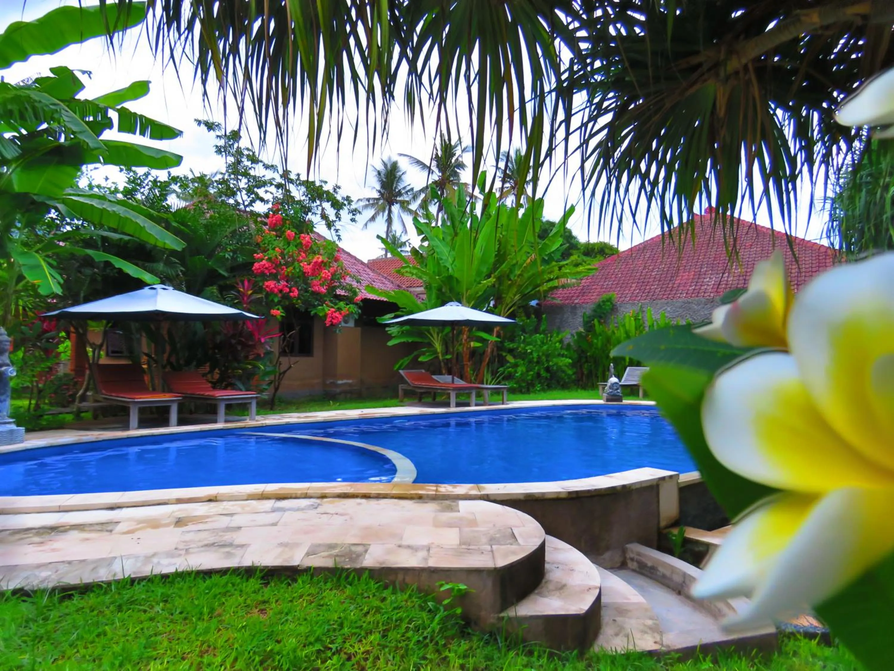 Swimming pool in Suka Sari Cottages