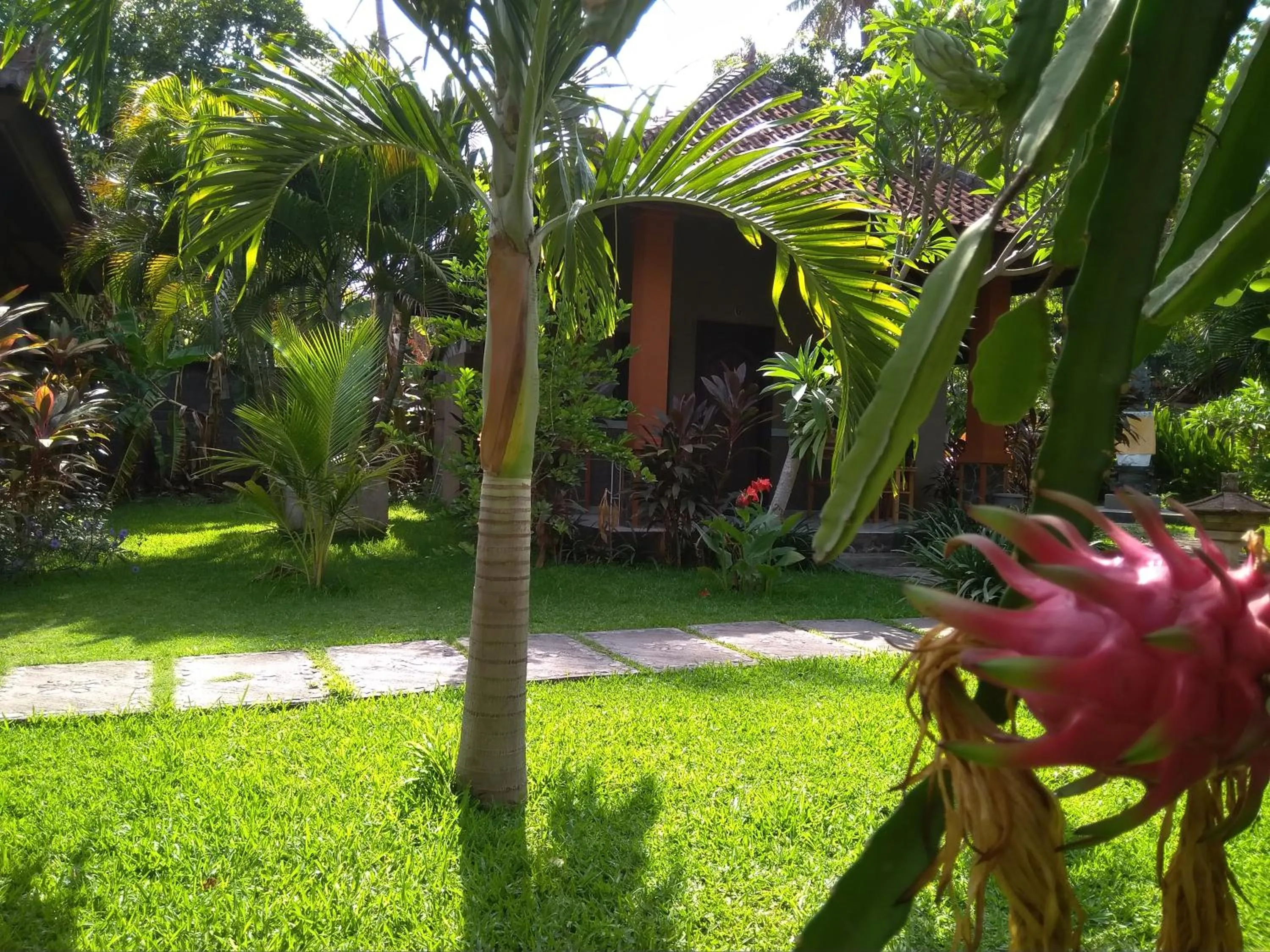 Garden in Suka Sari Cottages
