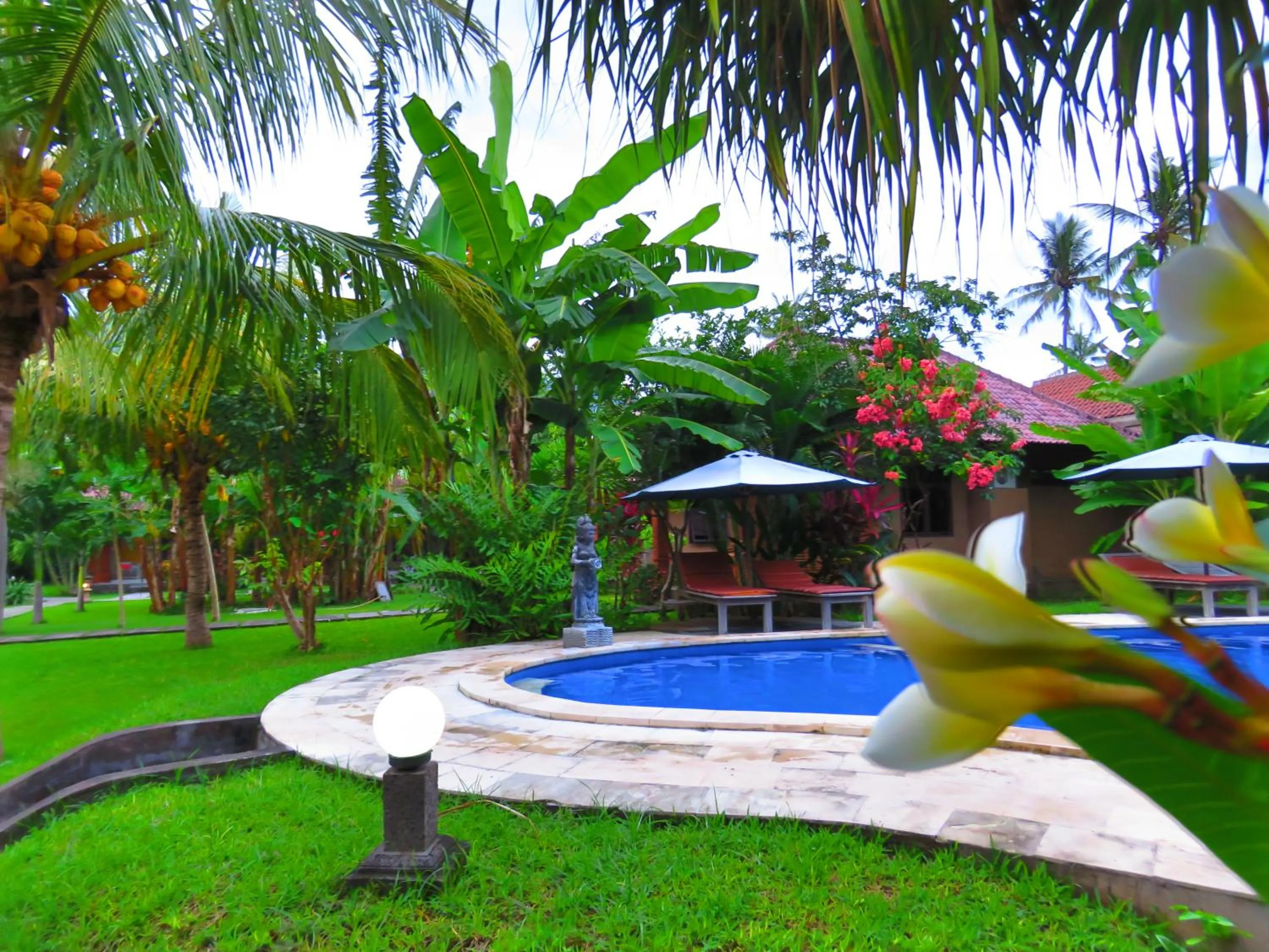 Swimming pool in Suka Sari Cottages