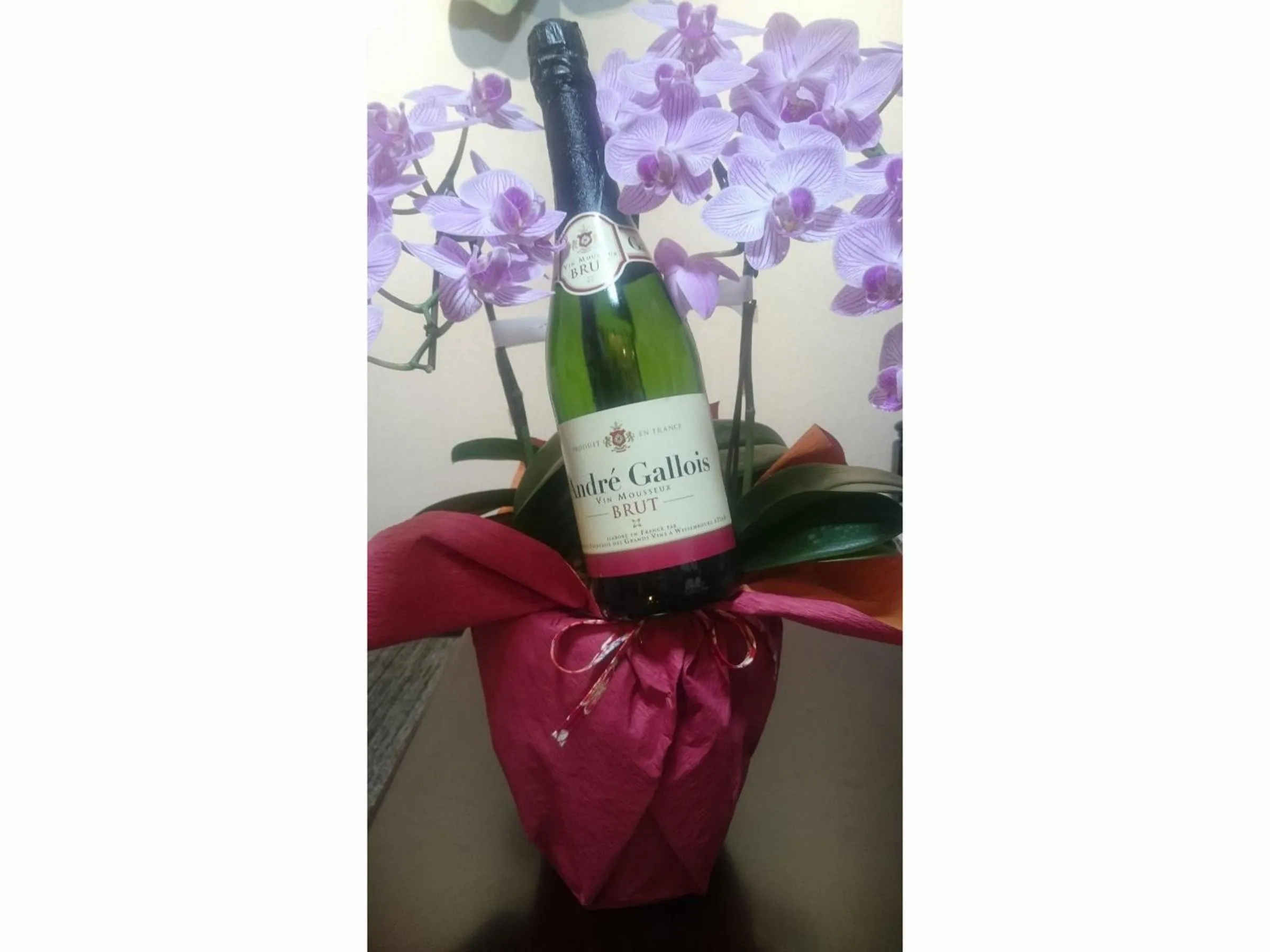 Alcoholic drinks in Oyado Yukizumi