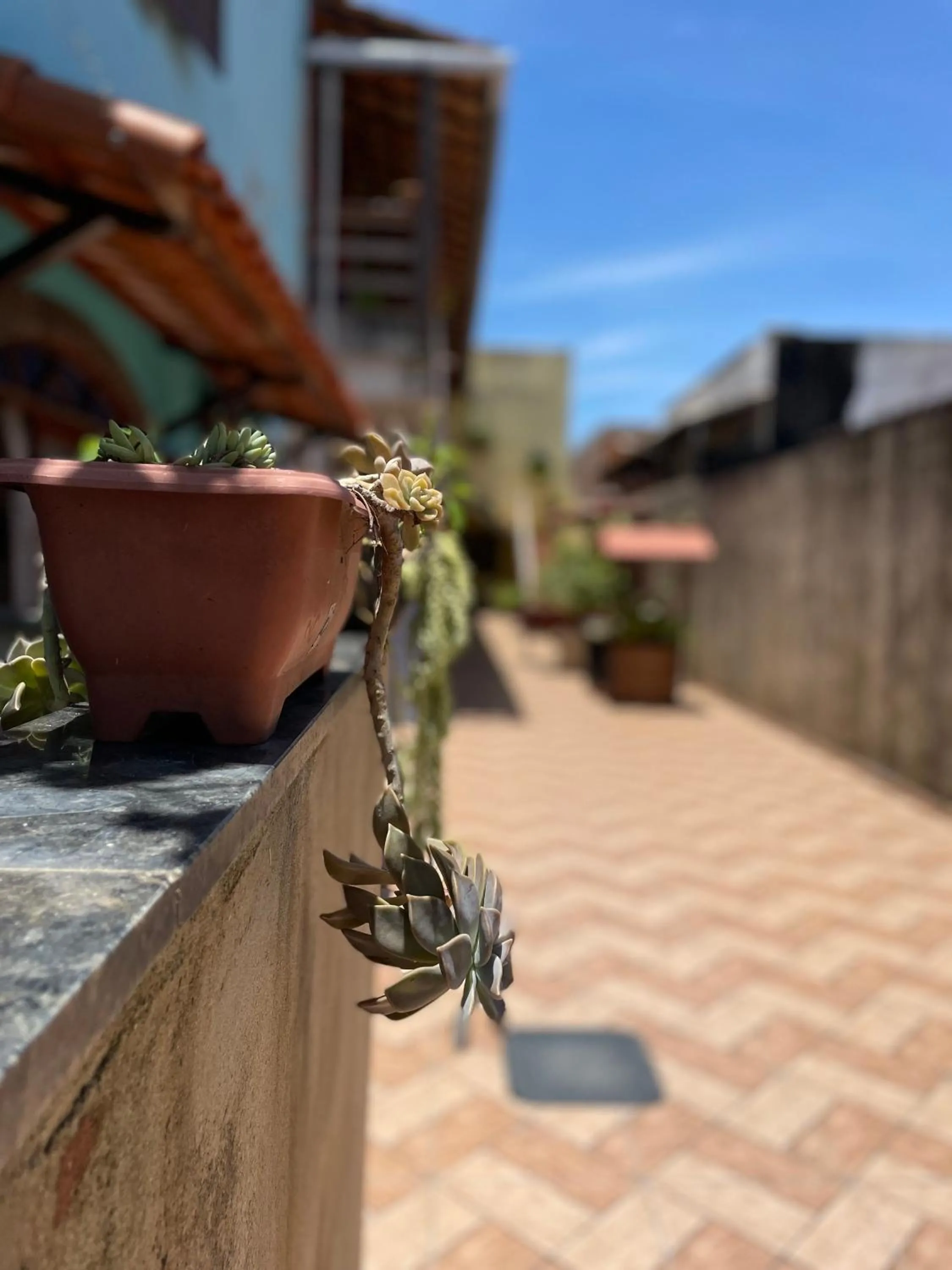 Vila da Drika