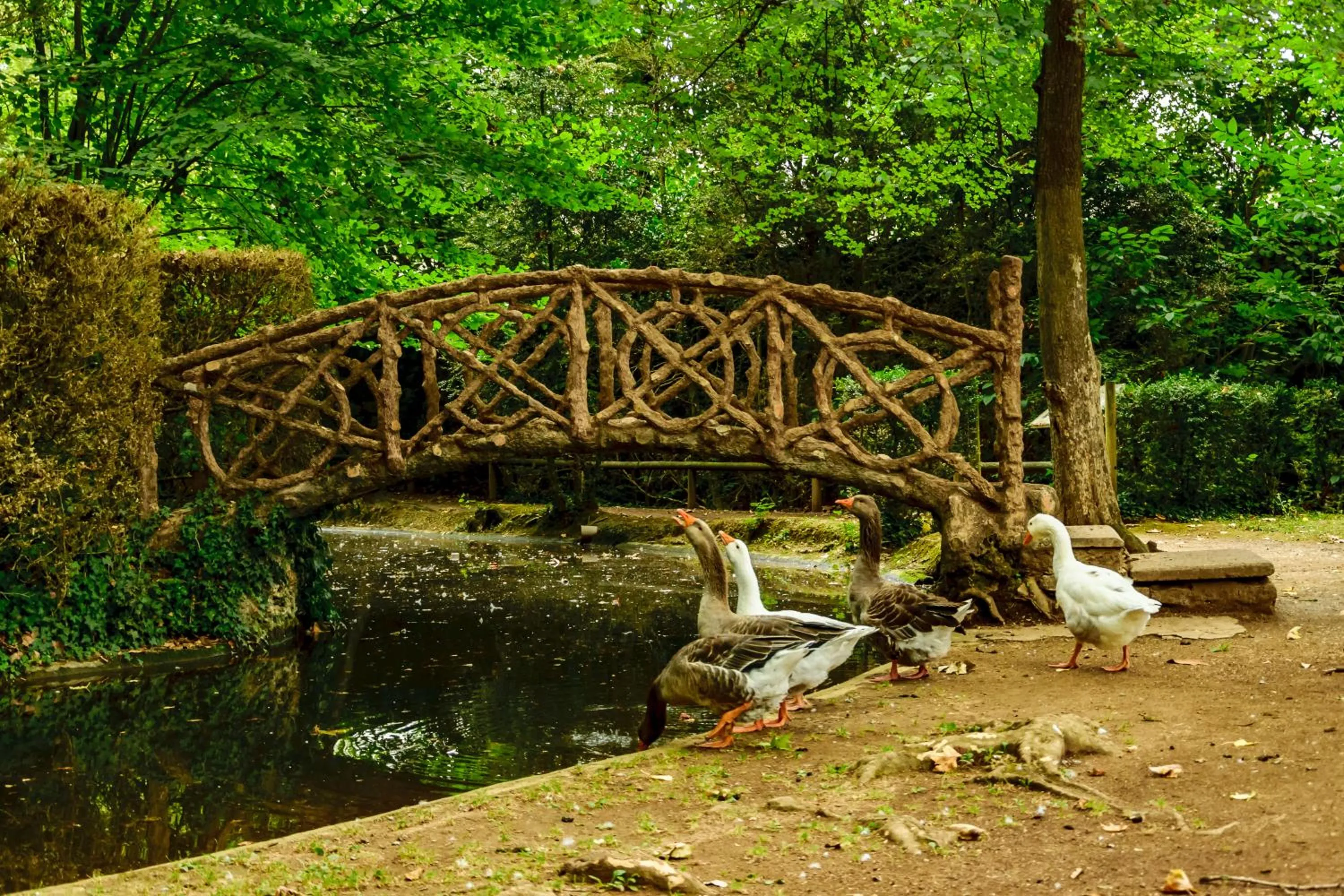Activities in Hotel Estació