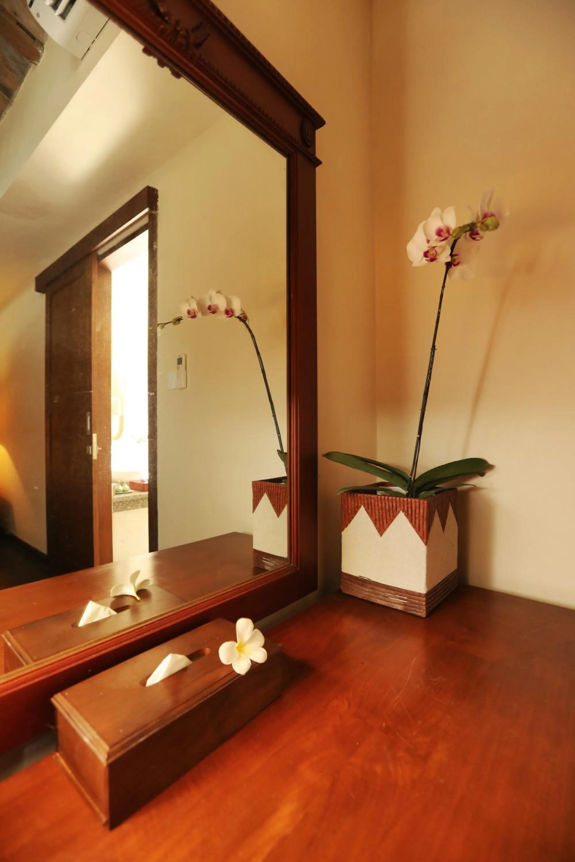 Area and facilities in The Sanyas Retreat