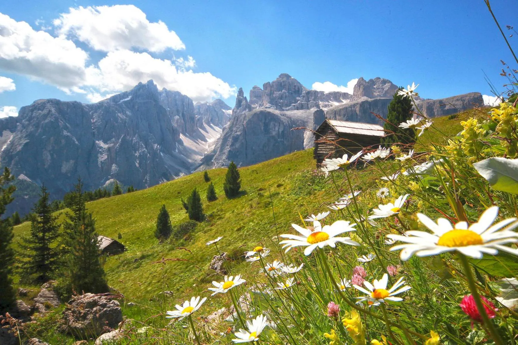 Spring in Residence Sas Vanna