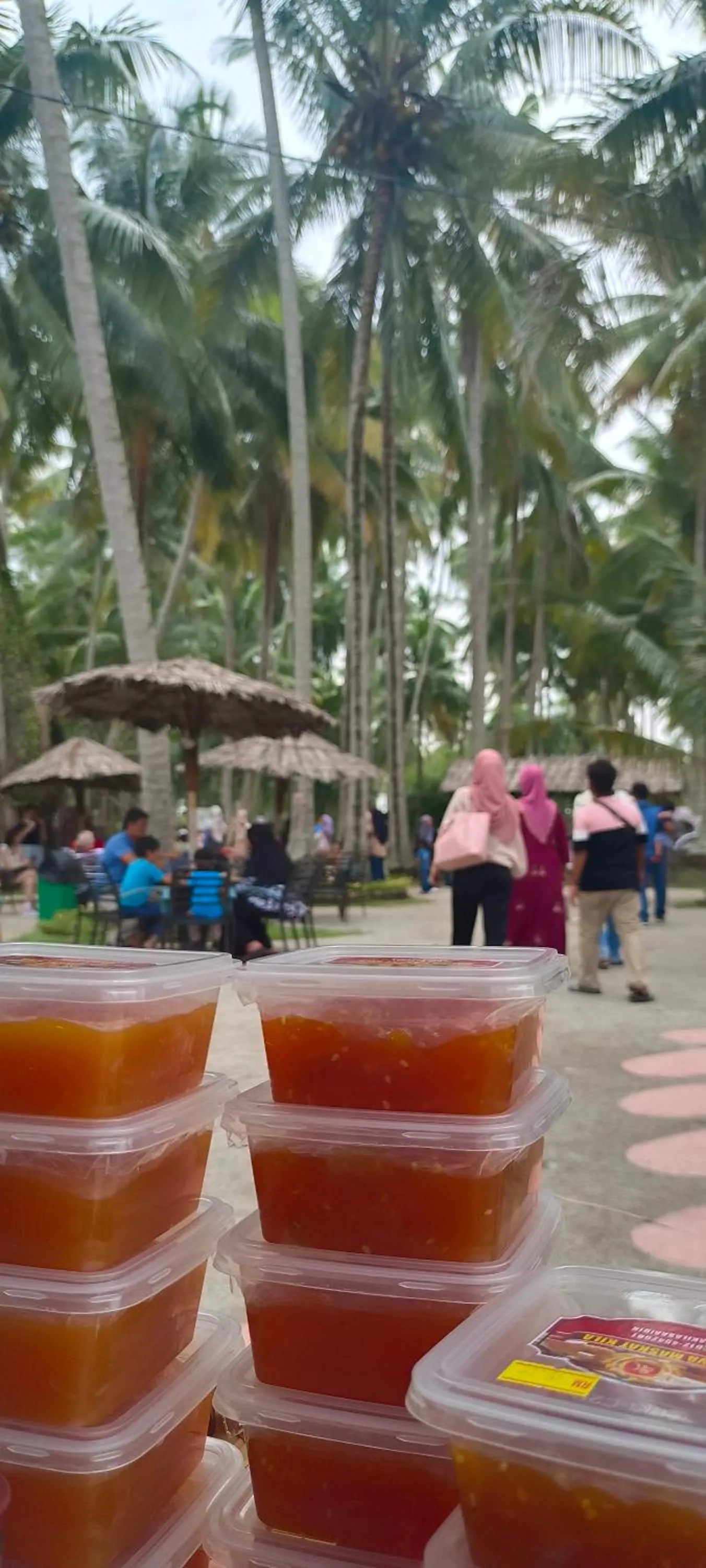 Homestay Damai Sri Kota