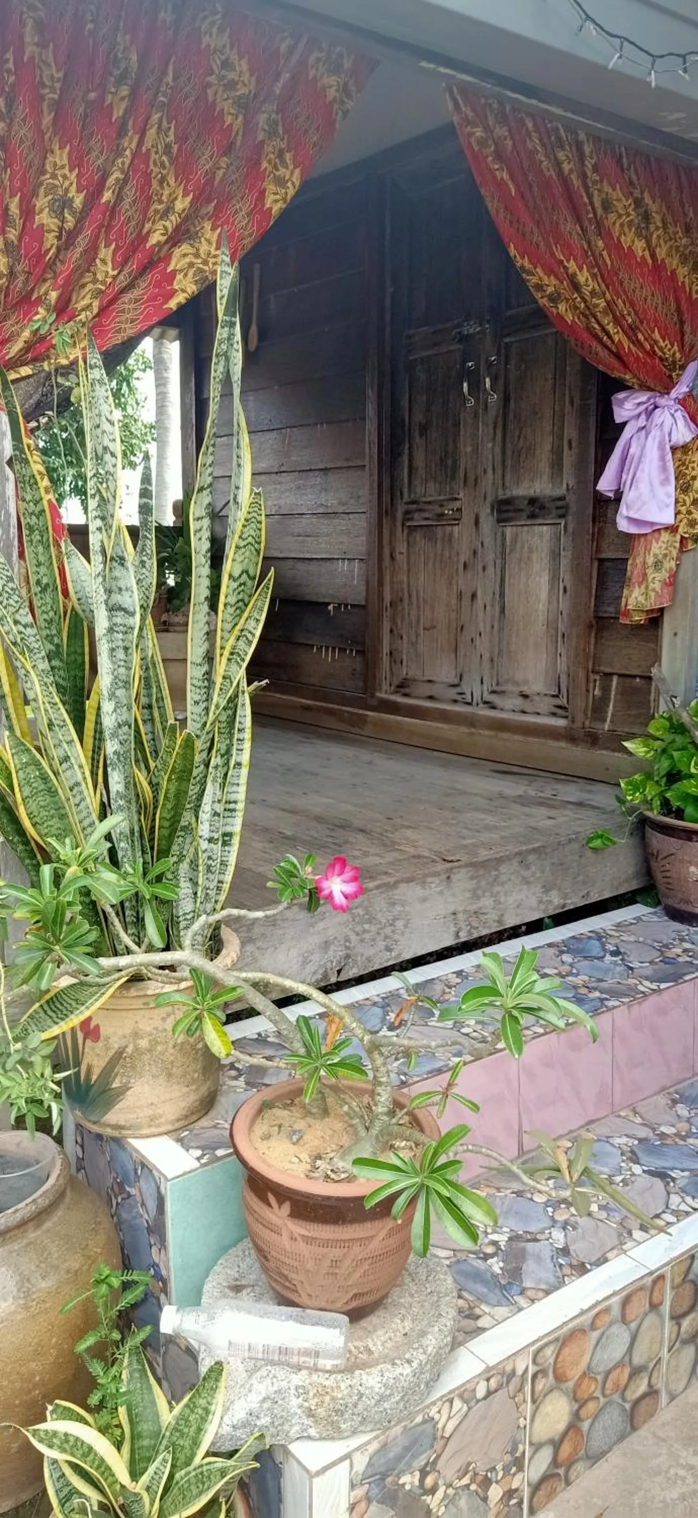 Homestay Damai Sri Kota