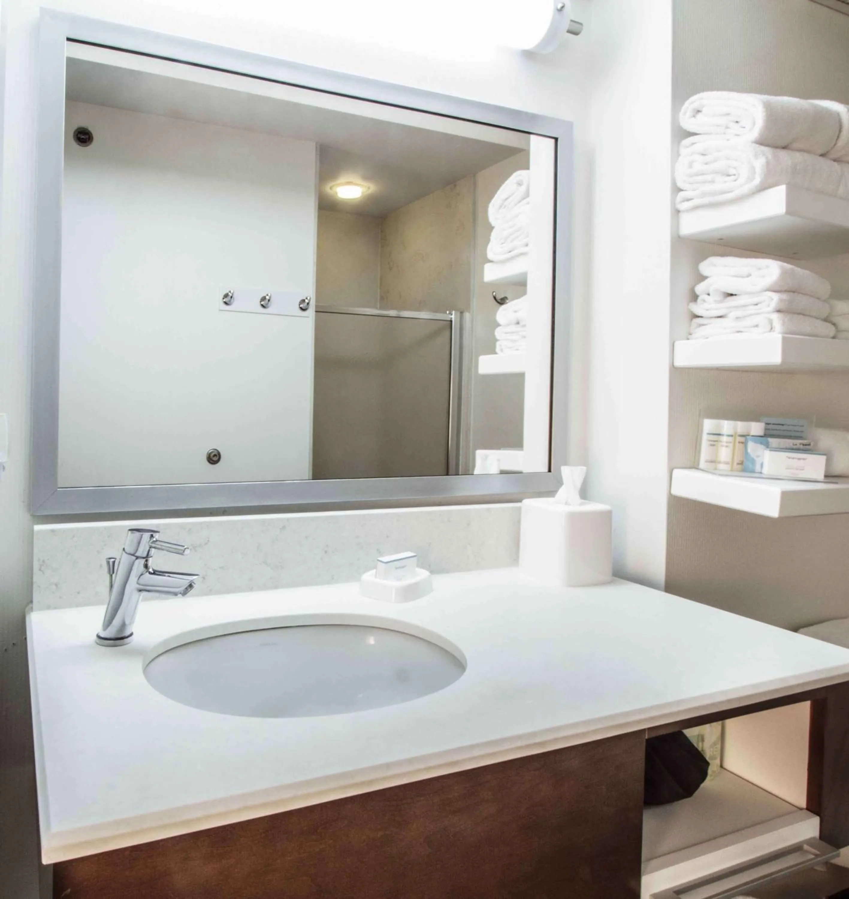 Bathroom in Hampton Inn South Haven