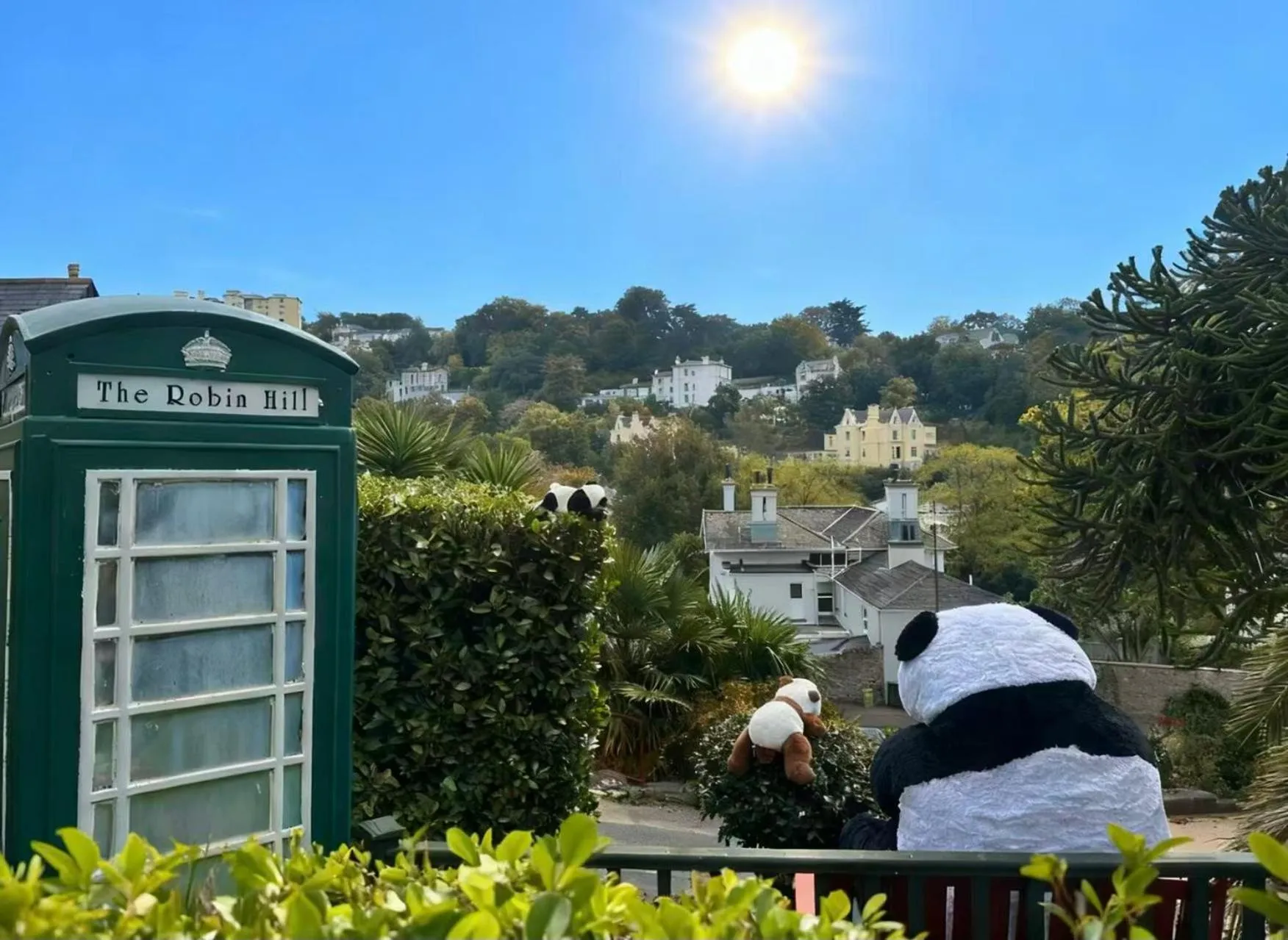 Garden view in The Robin Hill
