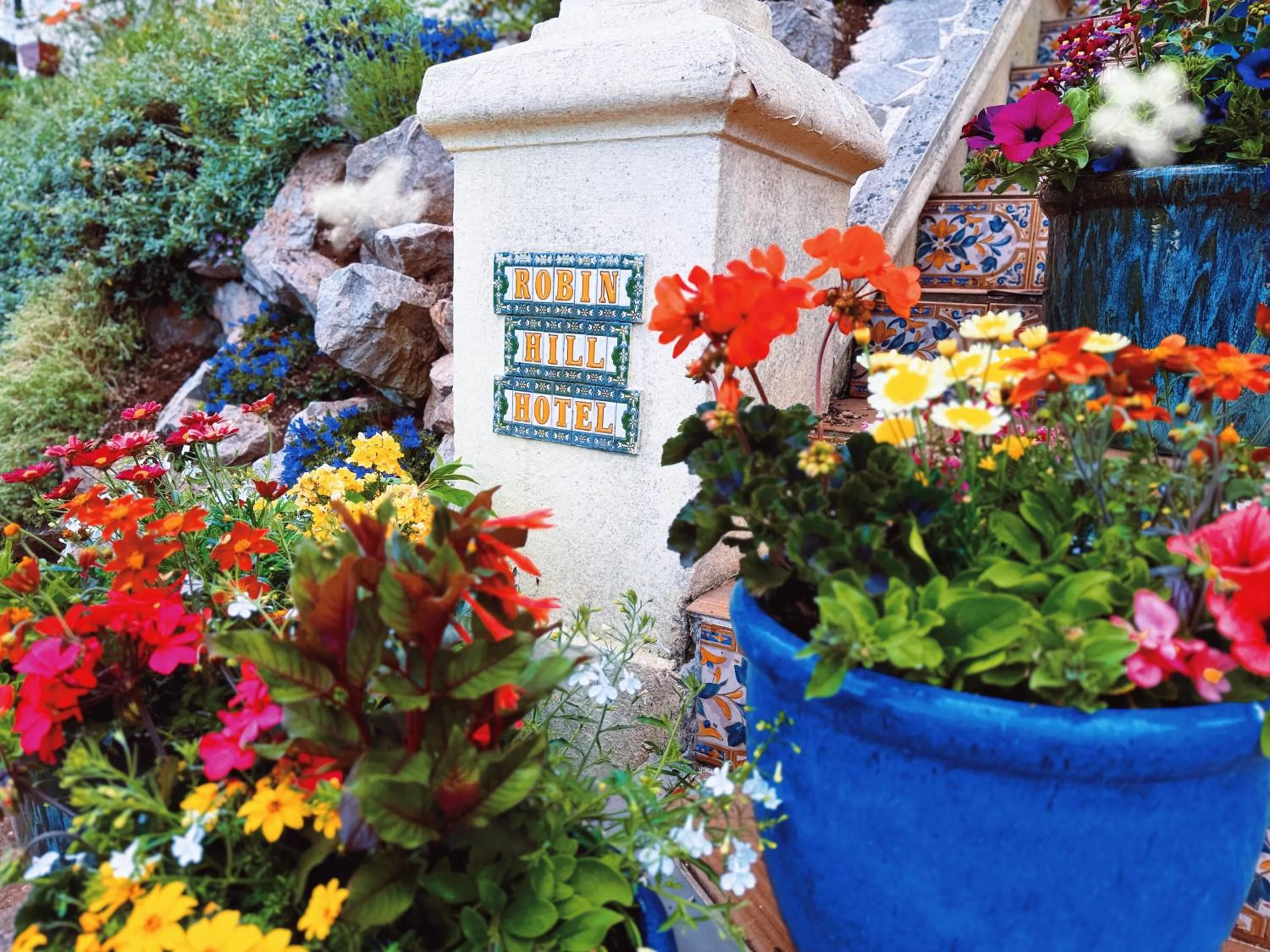 Garden in The Robin Hill