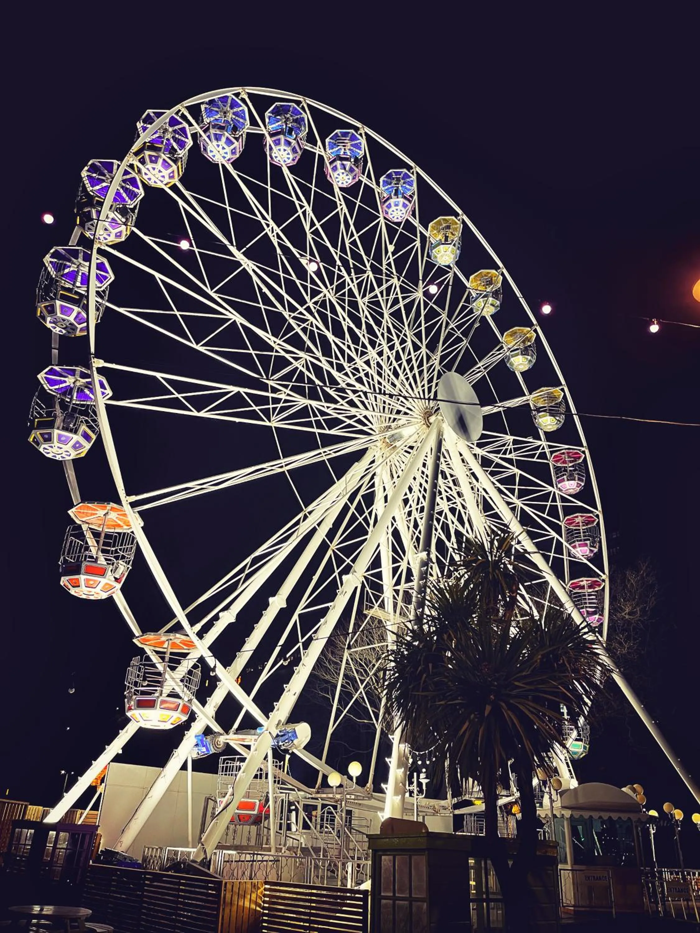 Night in The Robin Hill