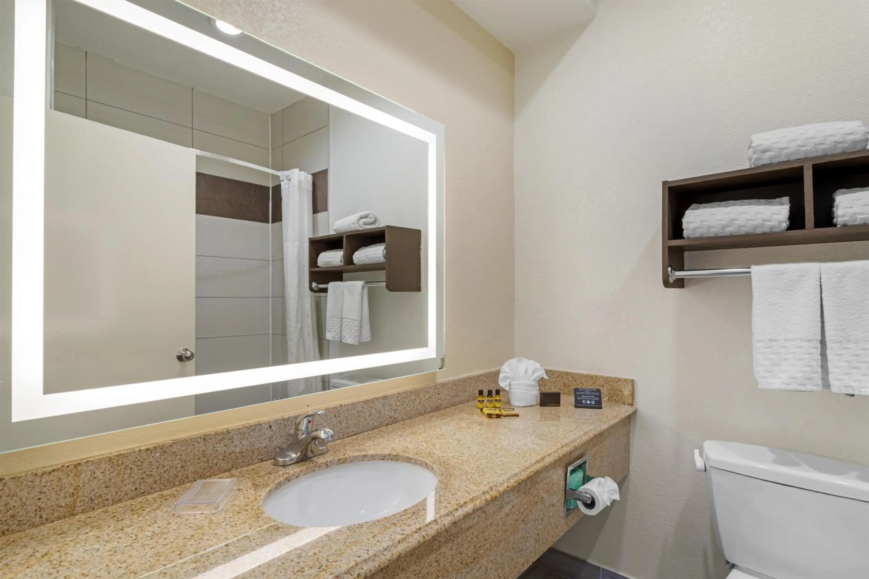 Bathroom in Best Western Plus North Houston Inn & Suites