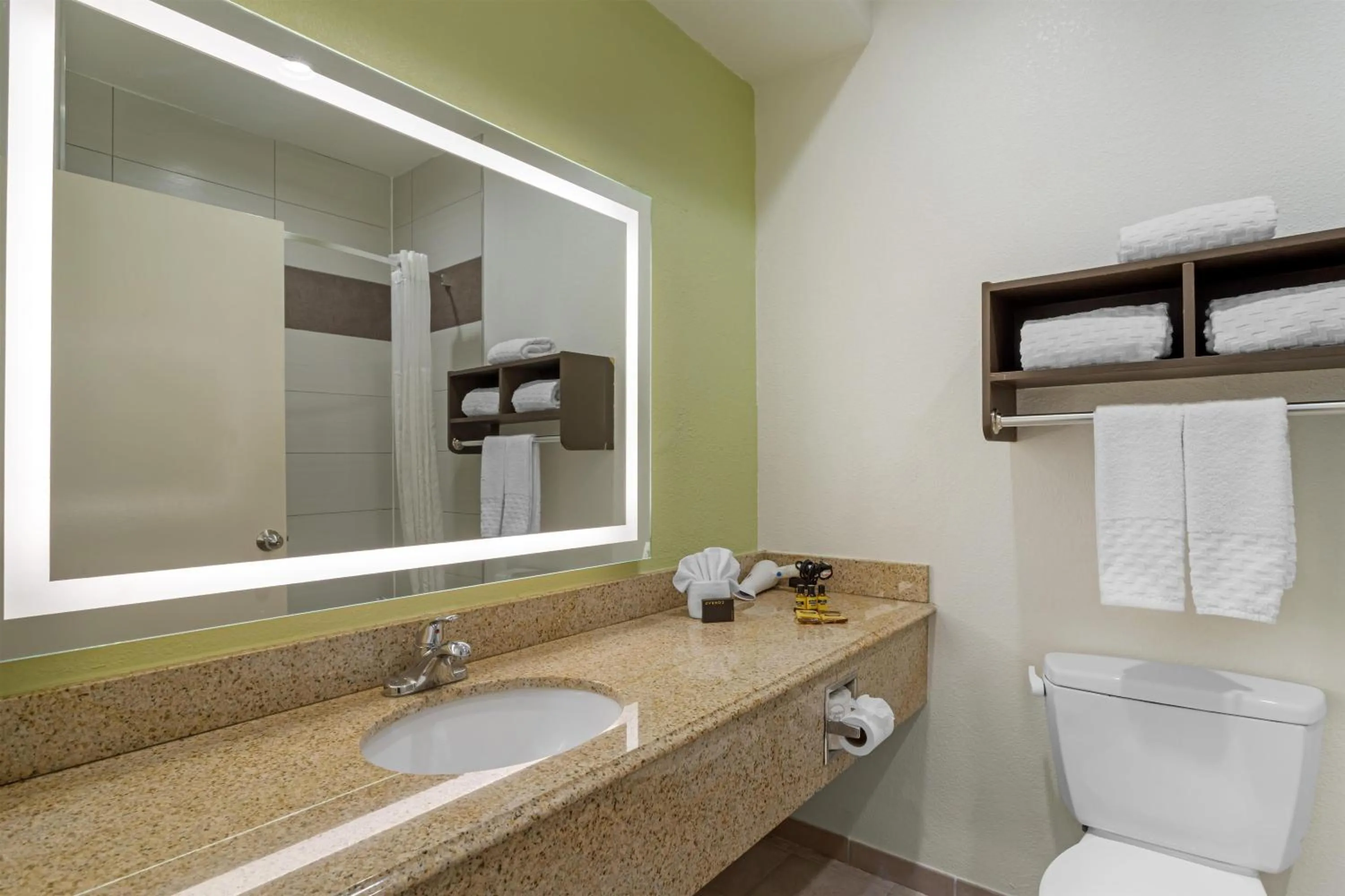 Bathroom in Best Western Plus North Houston Inn & Suites