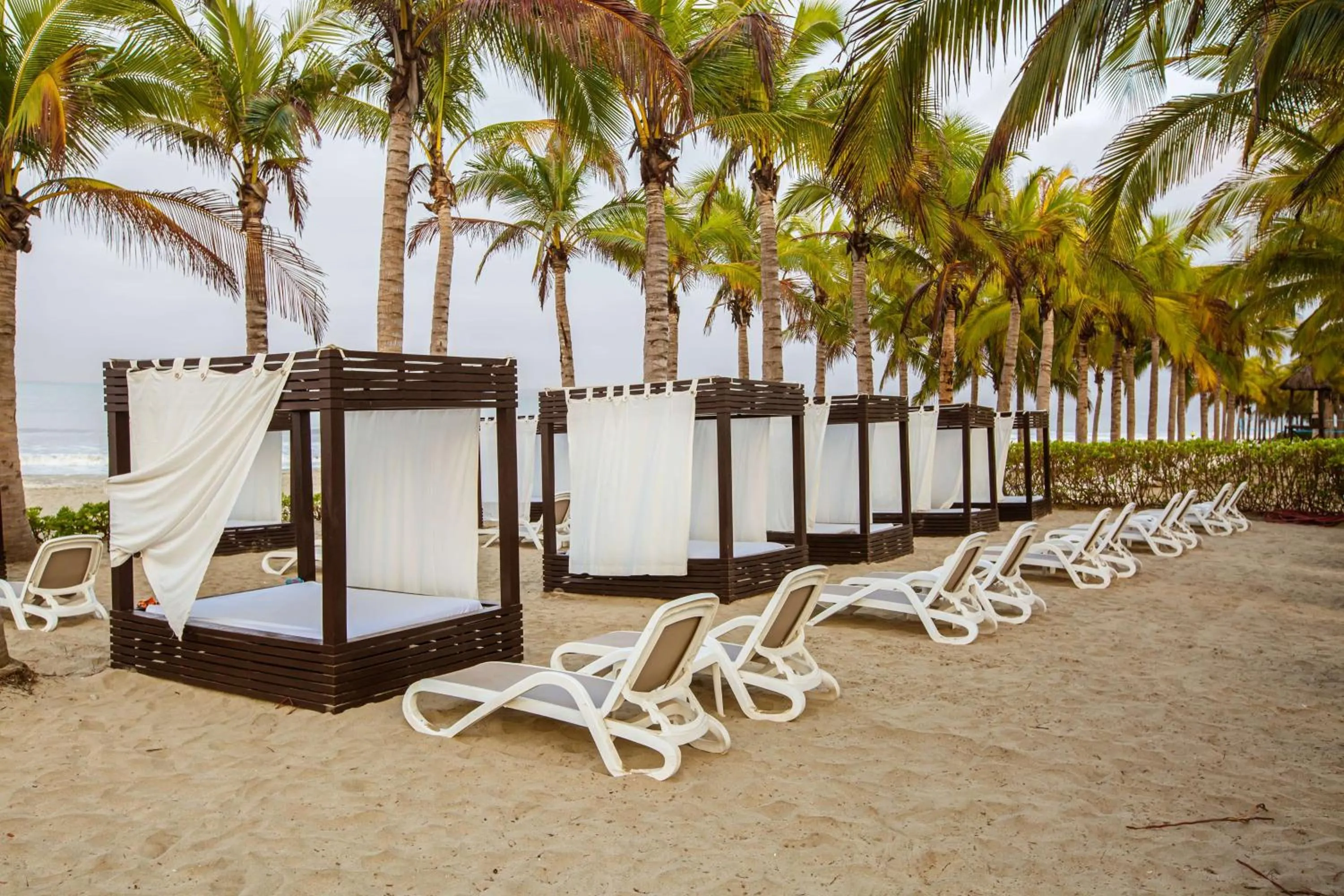 Beach in Occidental Nuevo Vallarta - All Inclusive