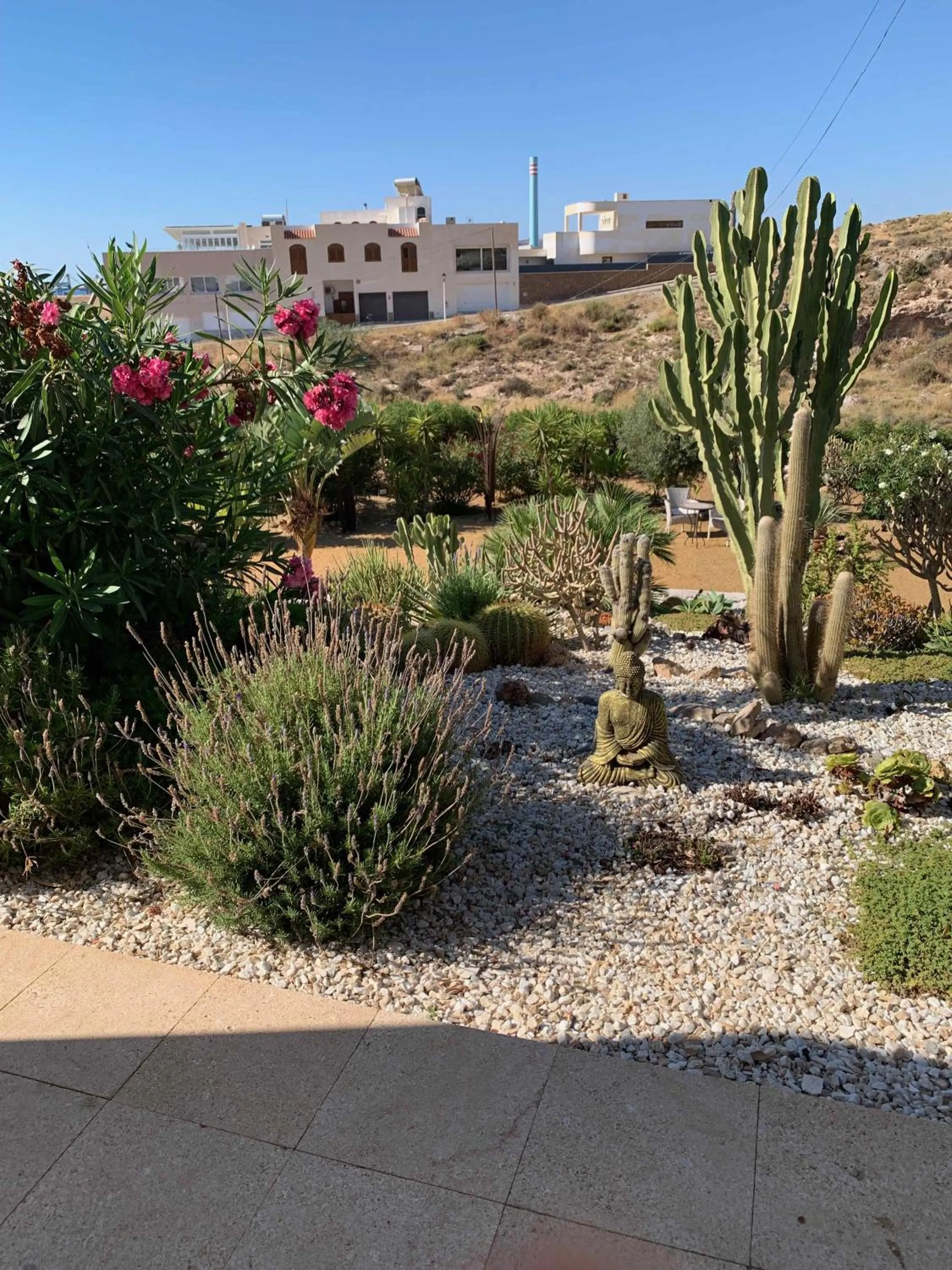 Garden in CASABAH bed & breakfast