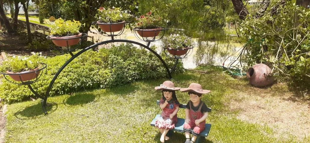 Garden in Pousada Araujo Bazilio