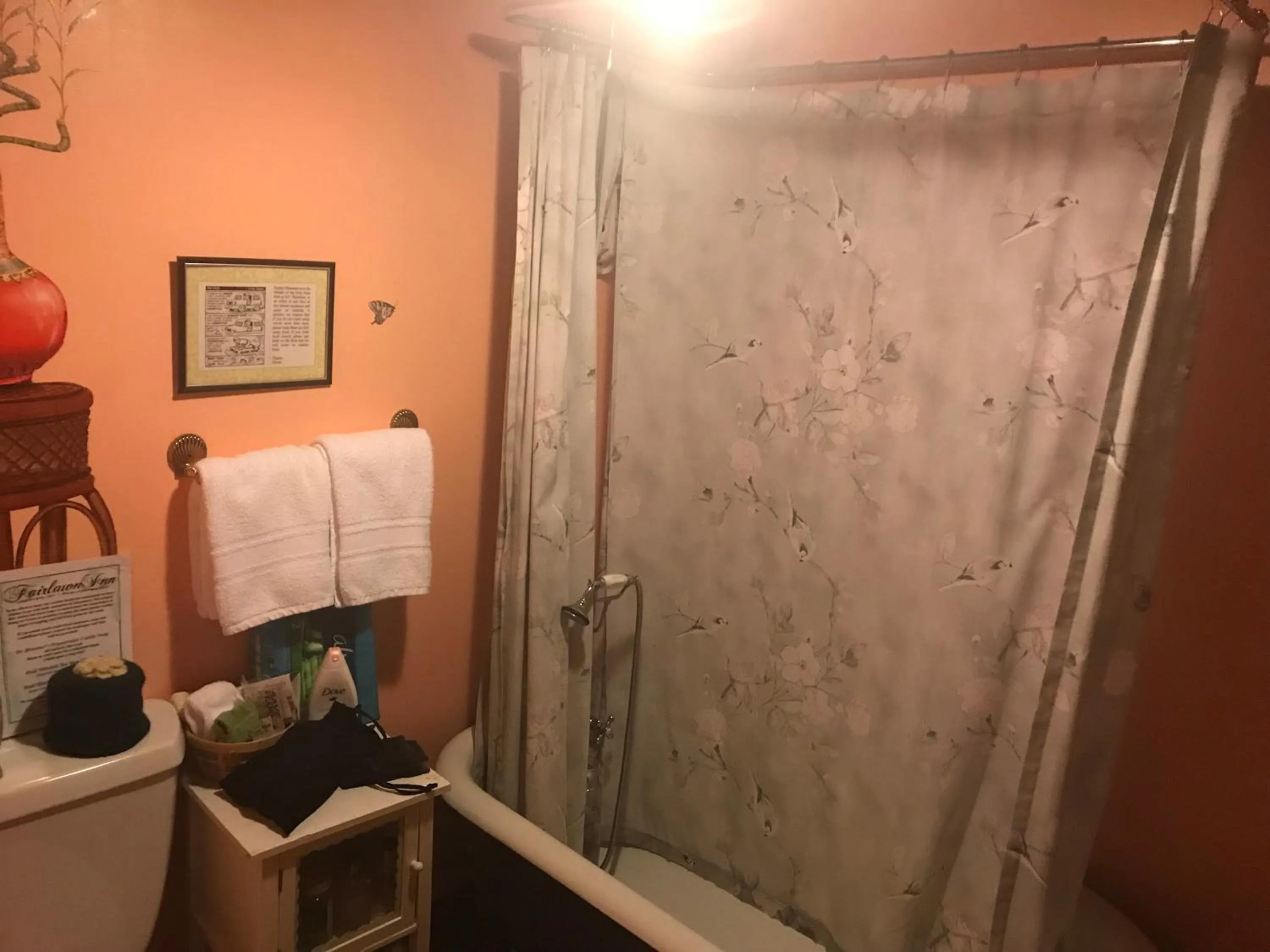 Bathroom in Fairlawn Inn