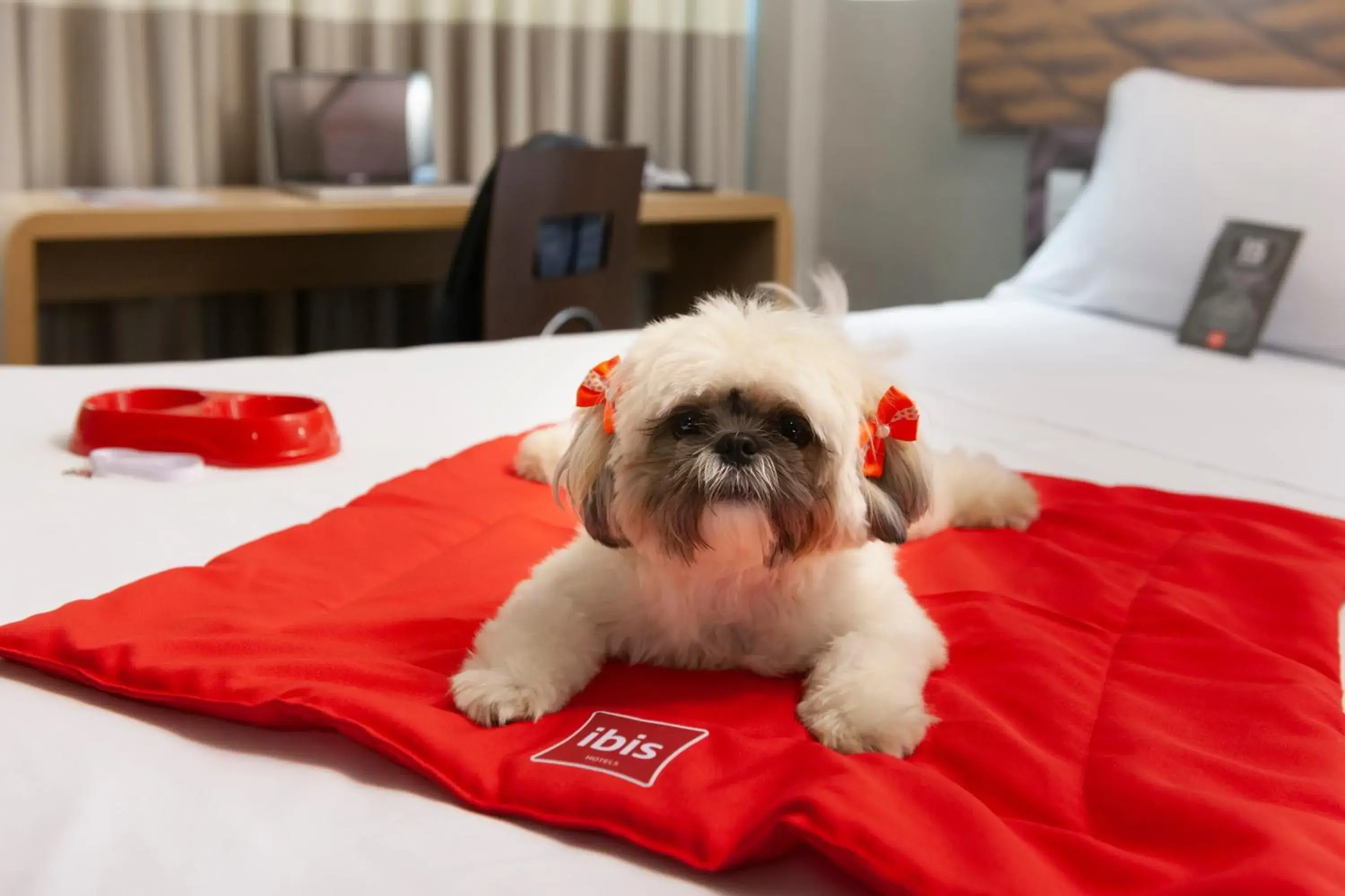 Pets, Bed in Ibis Teresina Pets, Bed in Ibis Teresina