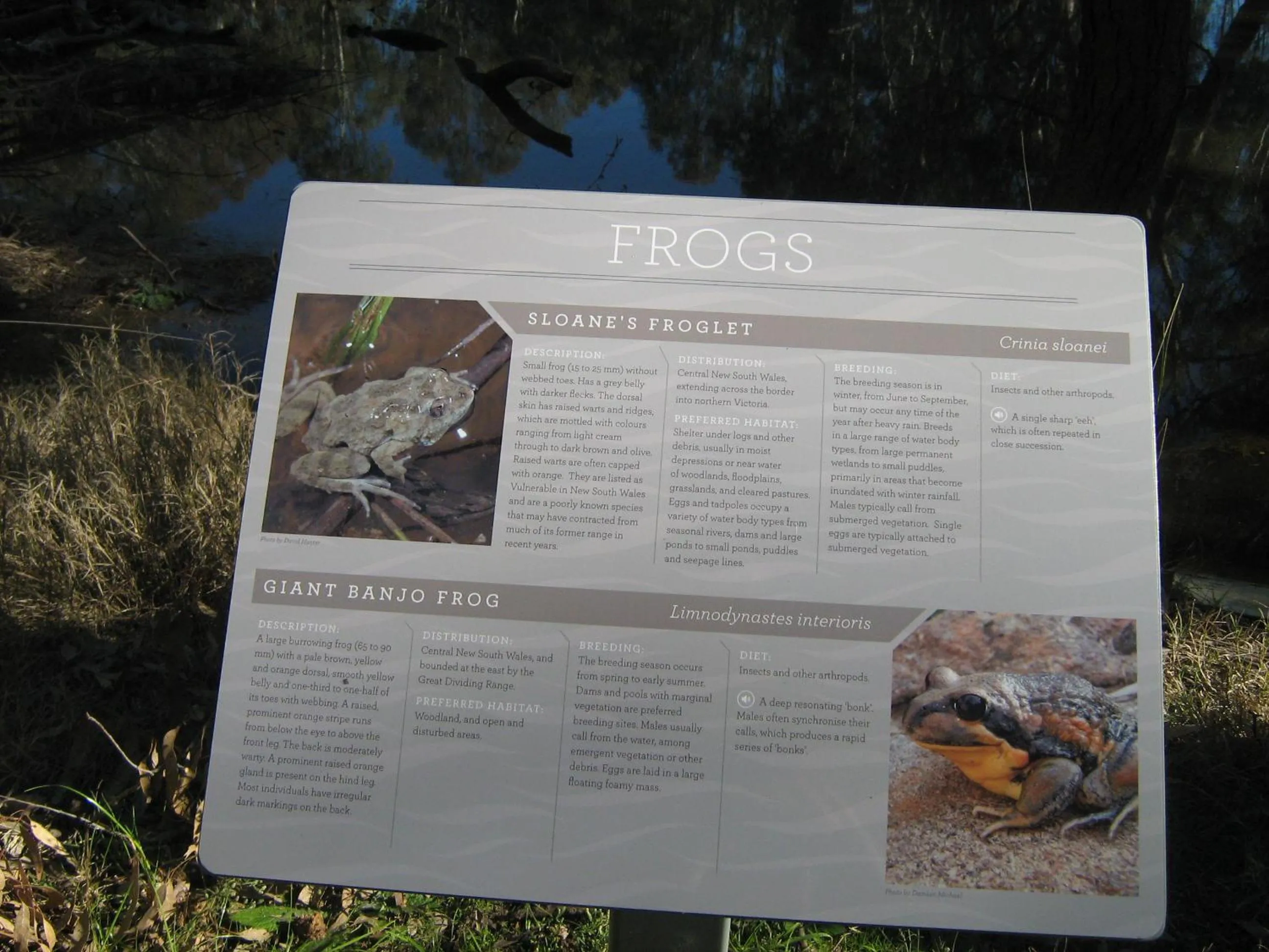 Activities in Rivergum Holiday Park