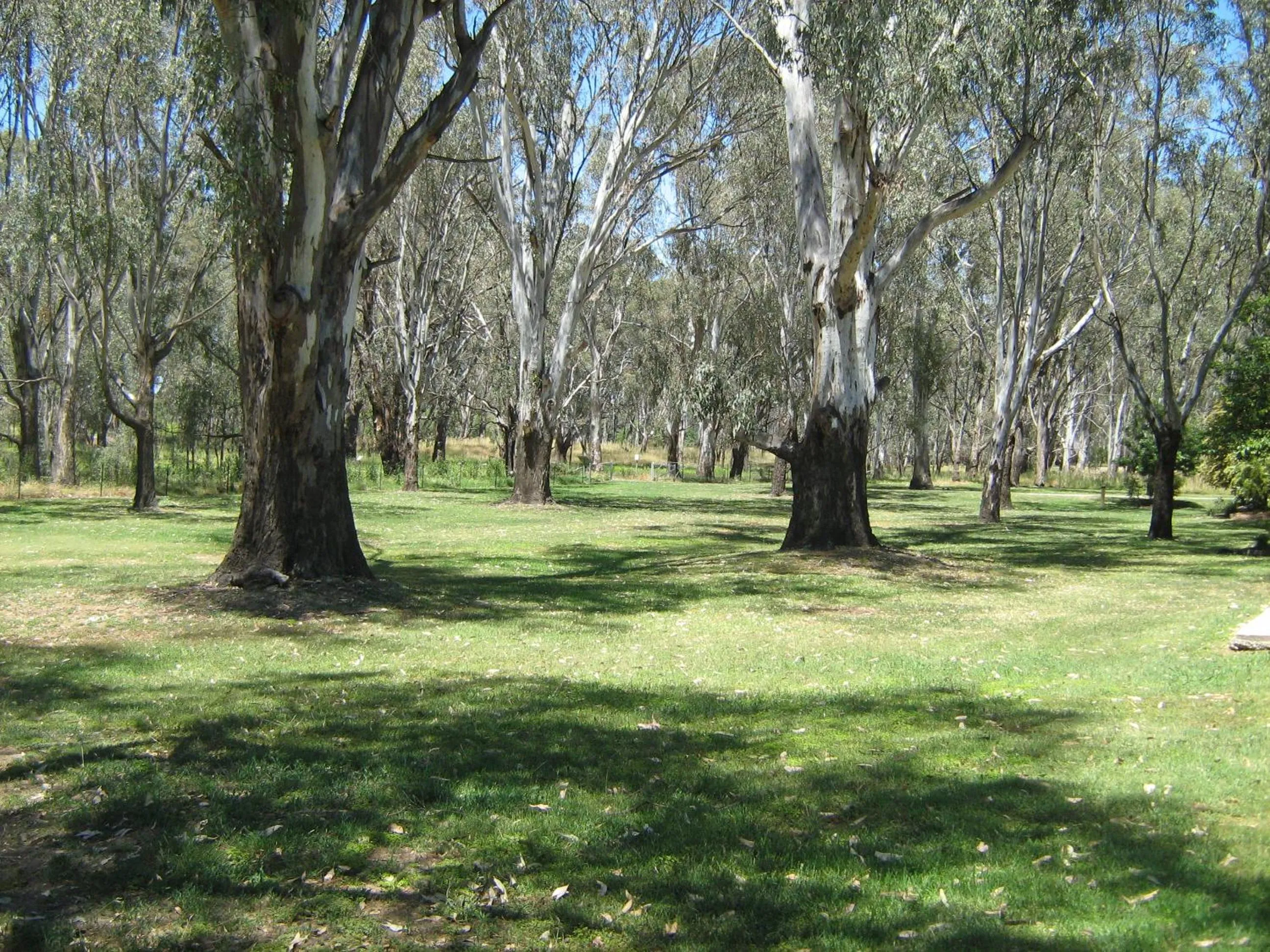 Area and facilities in Rivergum Holiday Park
