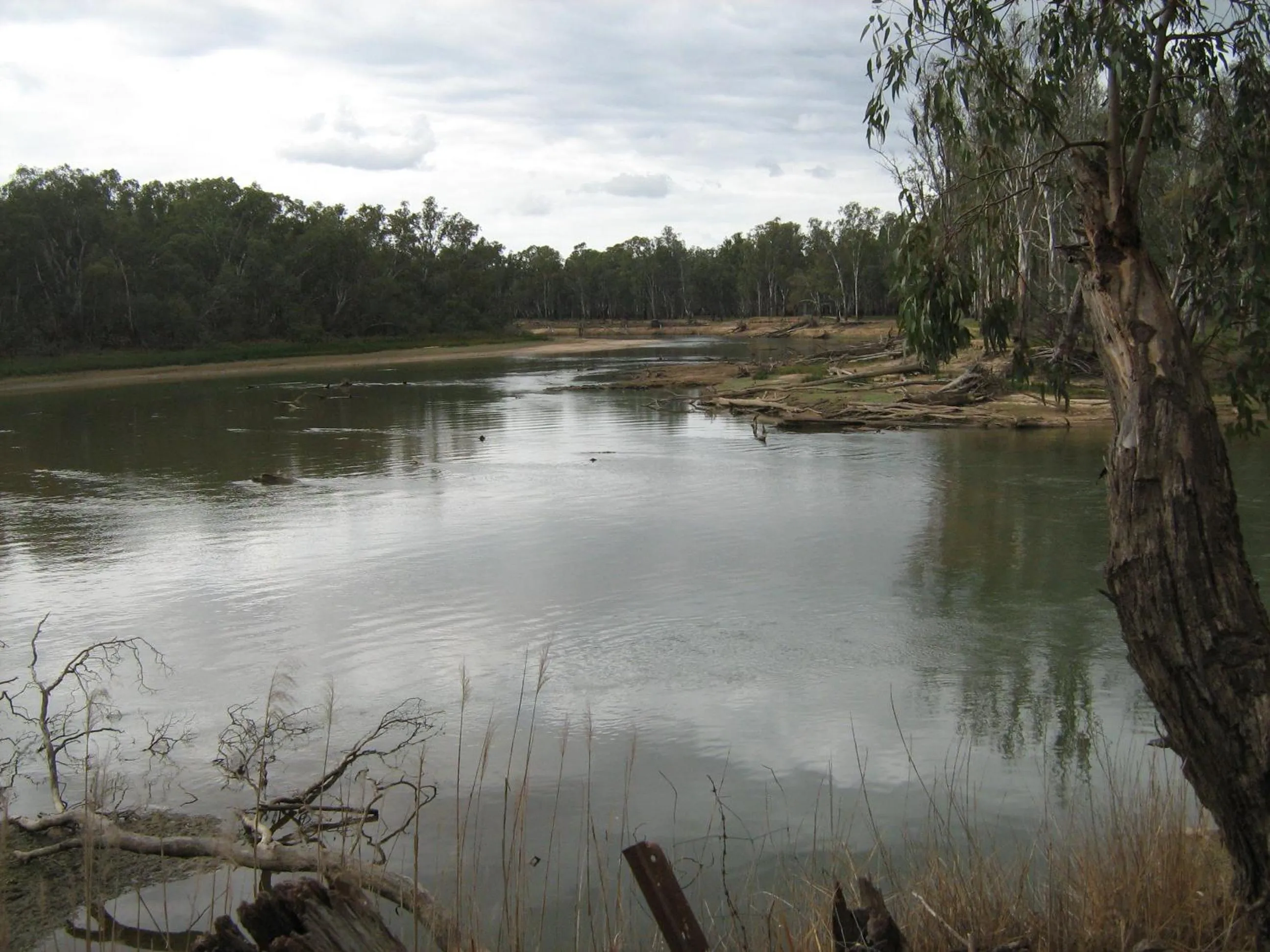Other in Rivergum Holiday Park