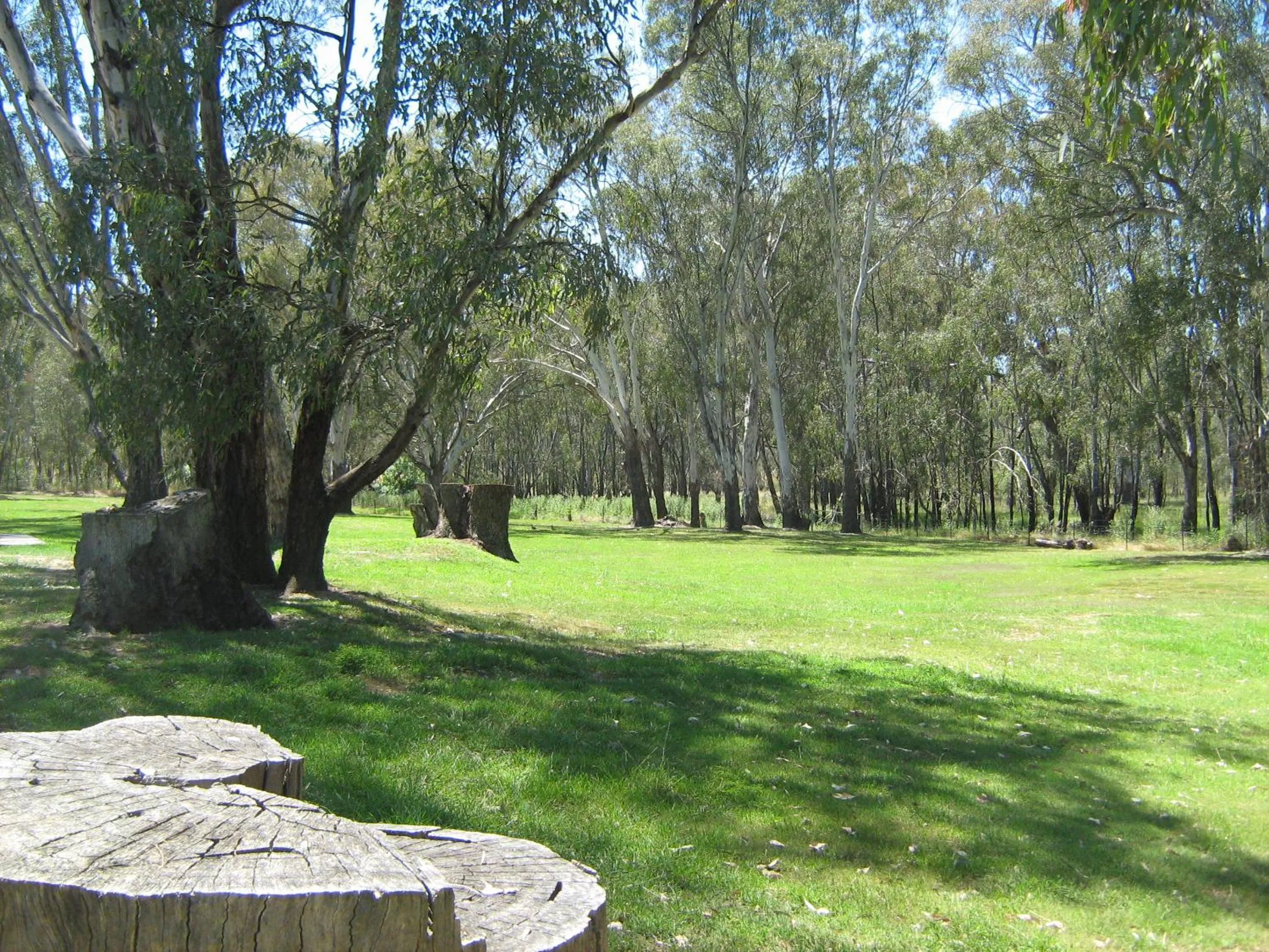 Natural landscape in Rivergum Holiday Park